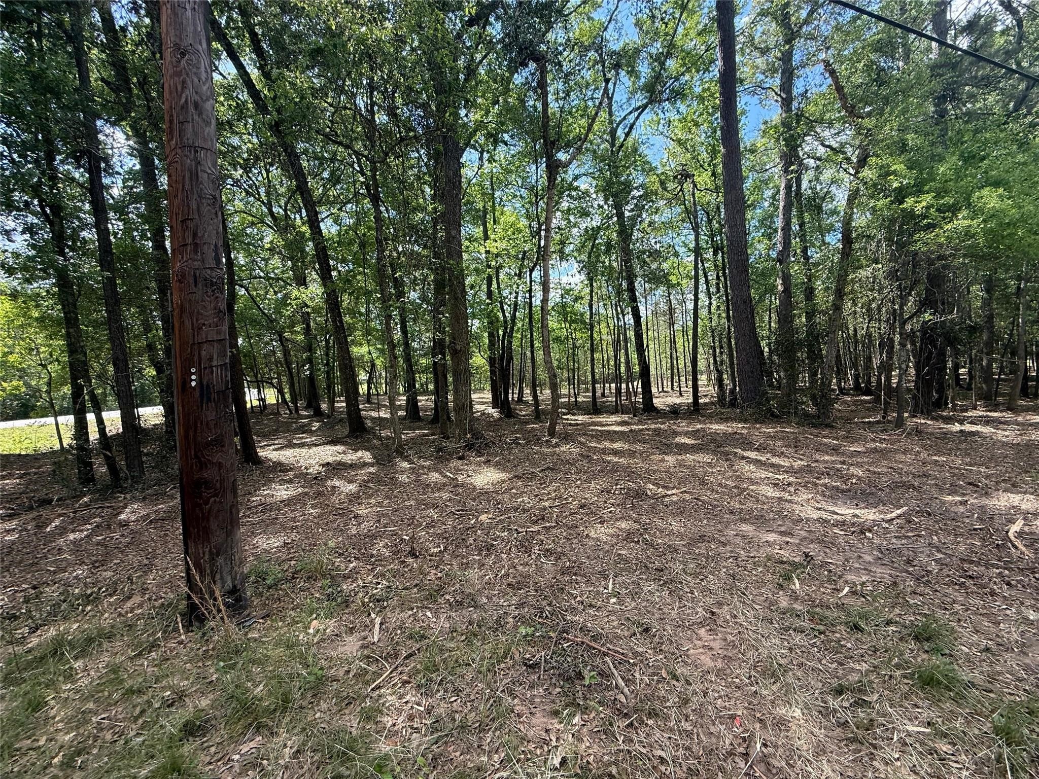 0 Daniel Street Property Photo 10