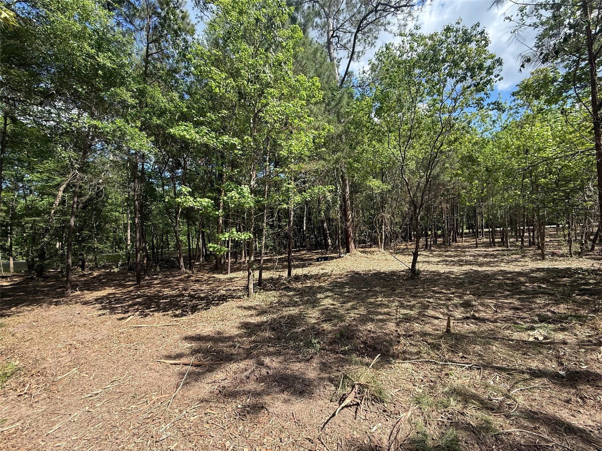 0 Daniel Street Property Photo 12
