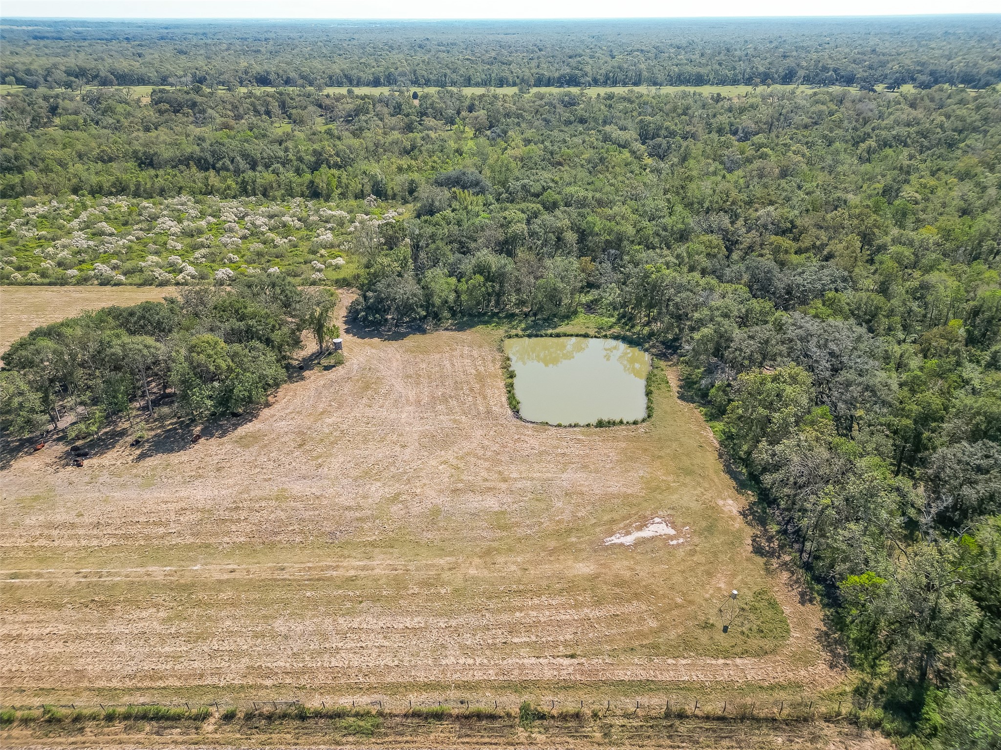 16631 Baker Cr 522 Road Property Photo 5