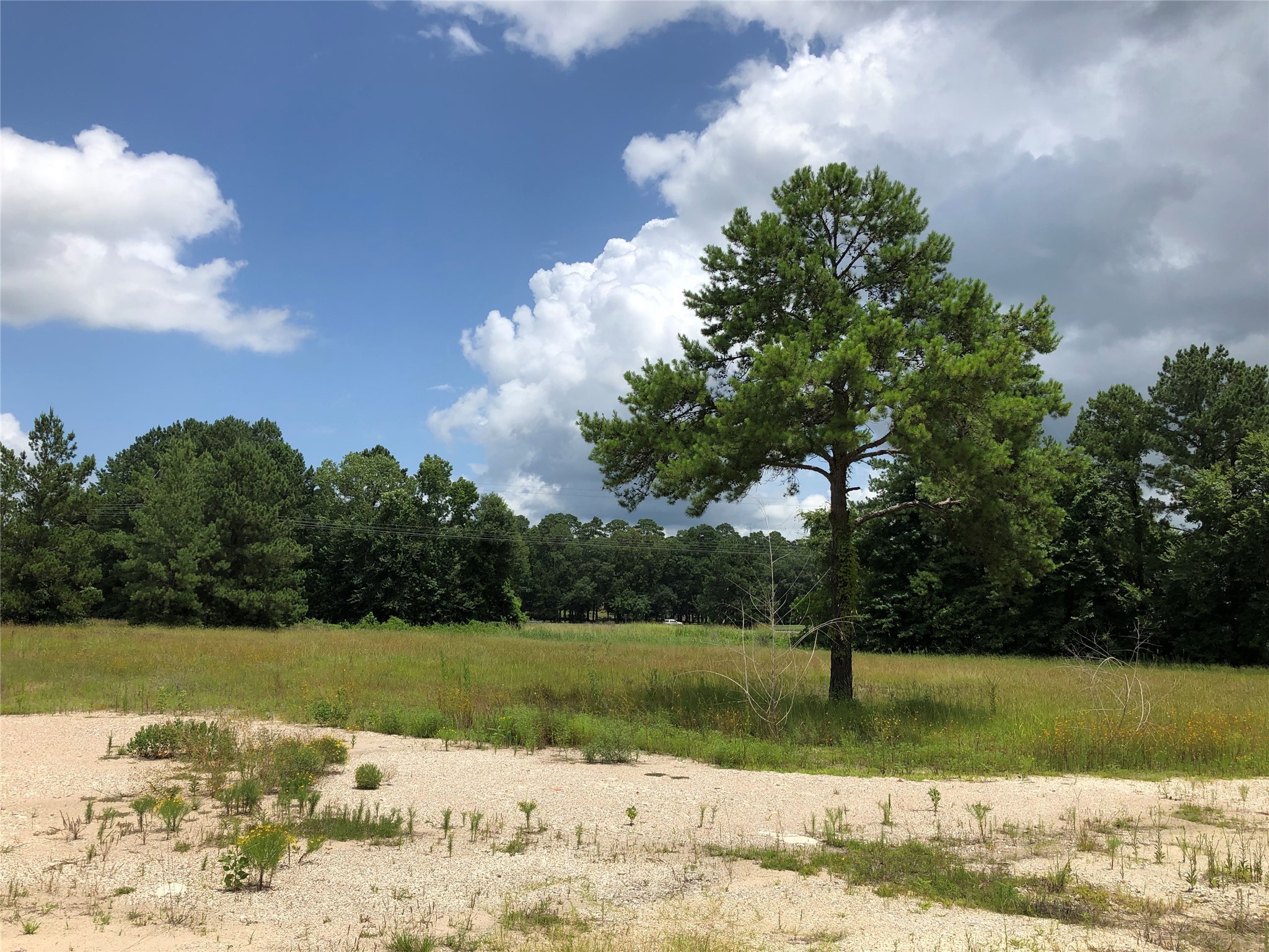 2509 Martin Luther King Jr Boulevard Property Photo 2