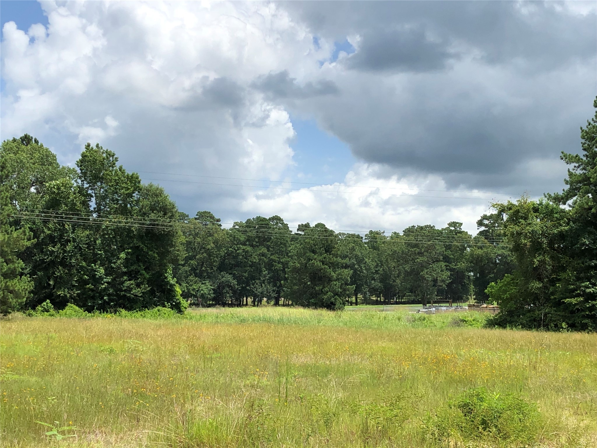 2509 Martin Luther King Jr Boulevard Property Photo 4