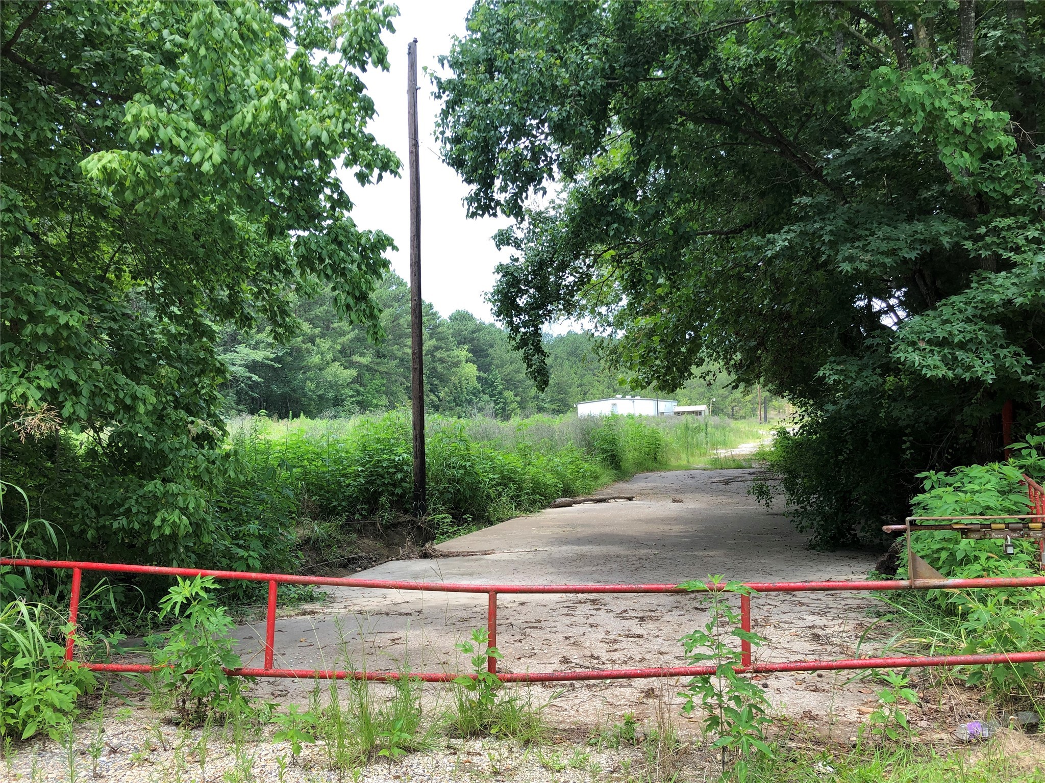 2509 Martin Luther King Jr Boulevard Property Photo 6