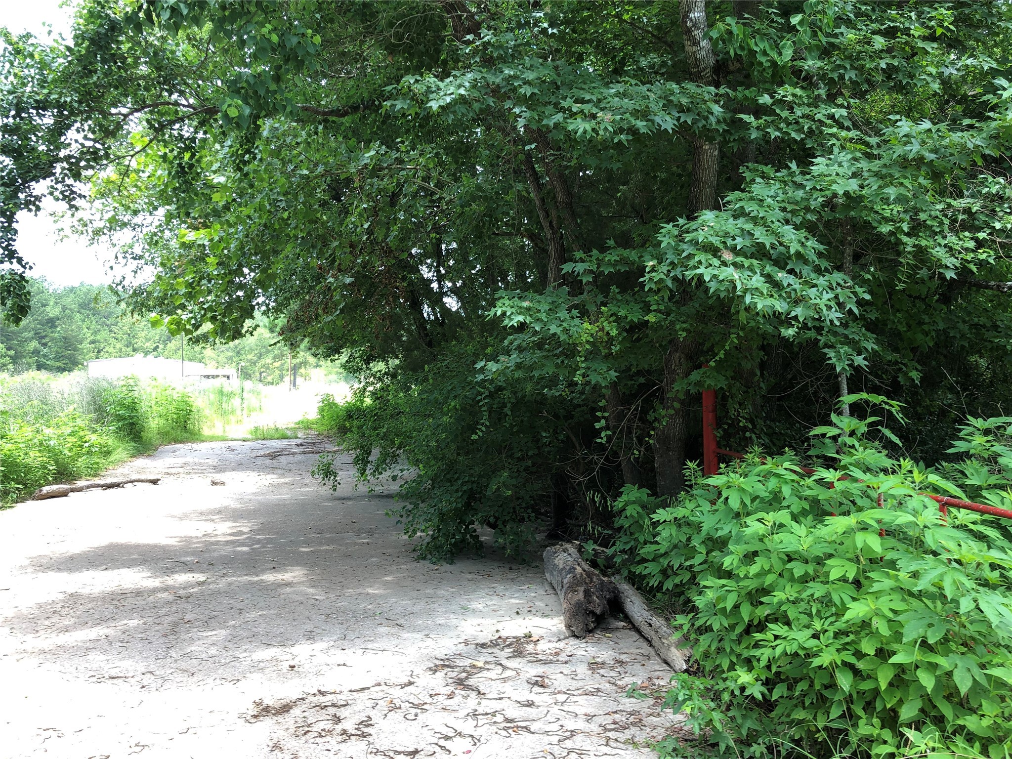 2509 Martin Luther King Jr Boulevard Property Photo 7