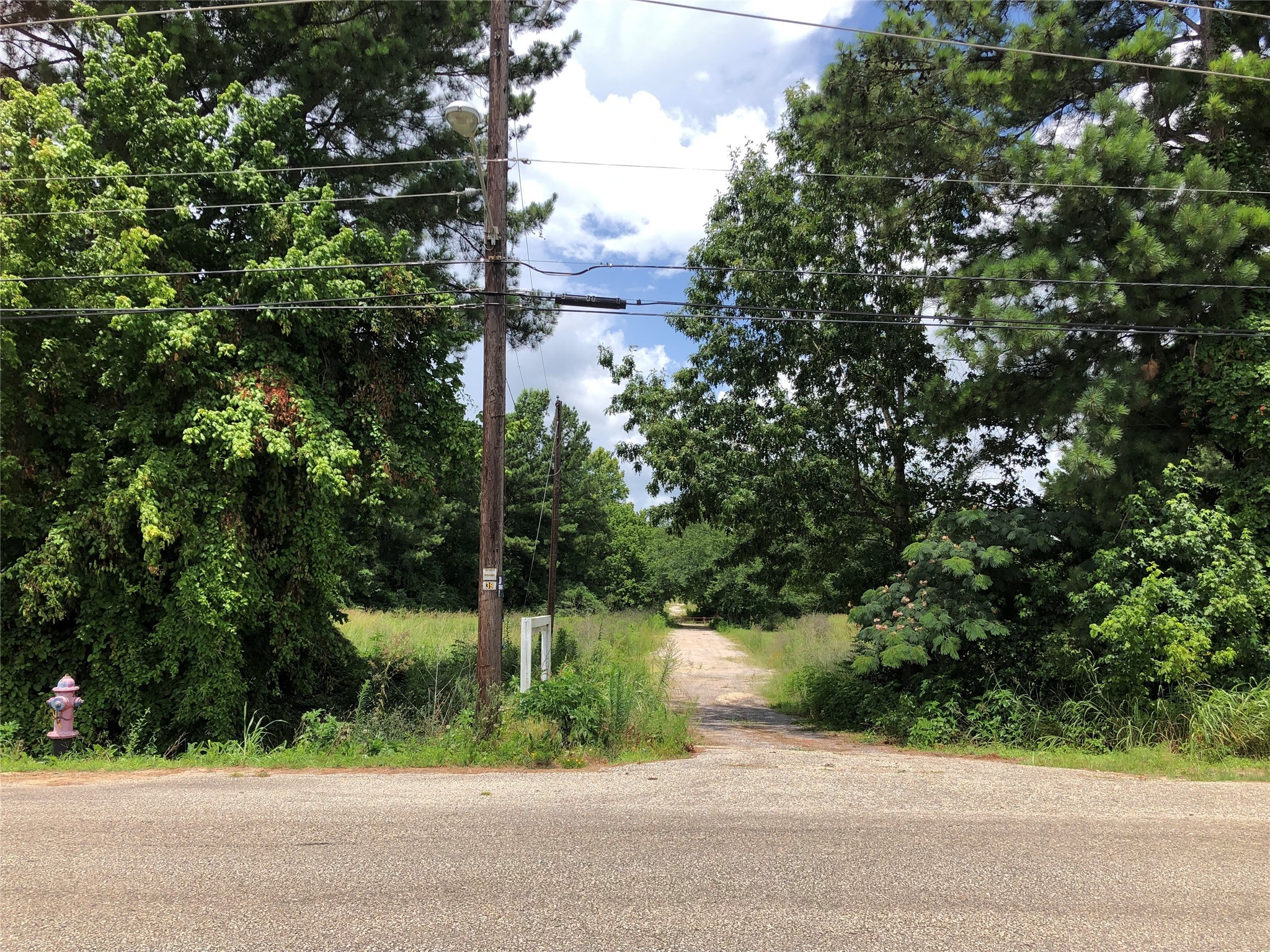 2509 Martin Luther King Jr Boulevard Property Photo 8