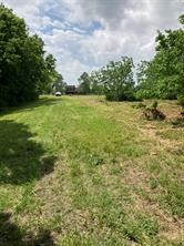 4139 County Road 101 Property Photo 8