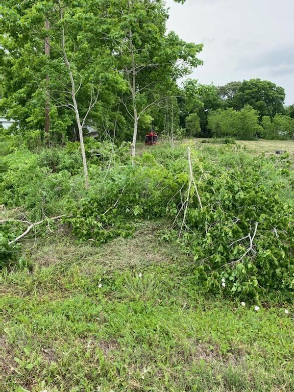 4139 County Road 101 Property Photo 9