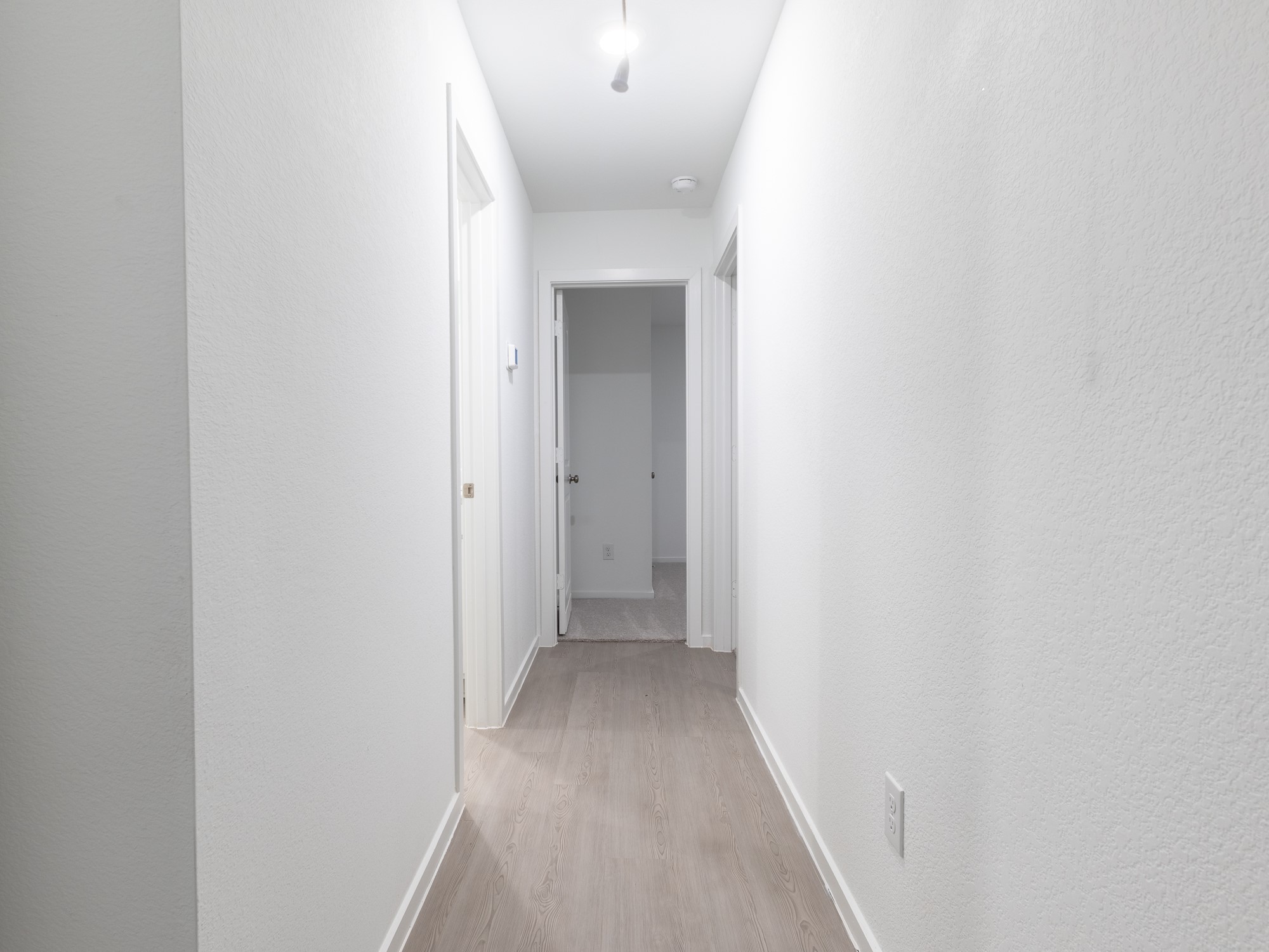 31406 Pratola Serra Circle Property Photo 19
