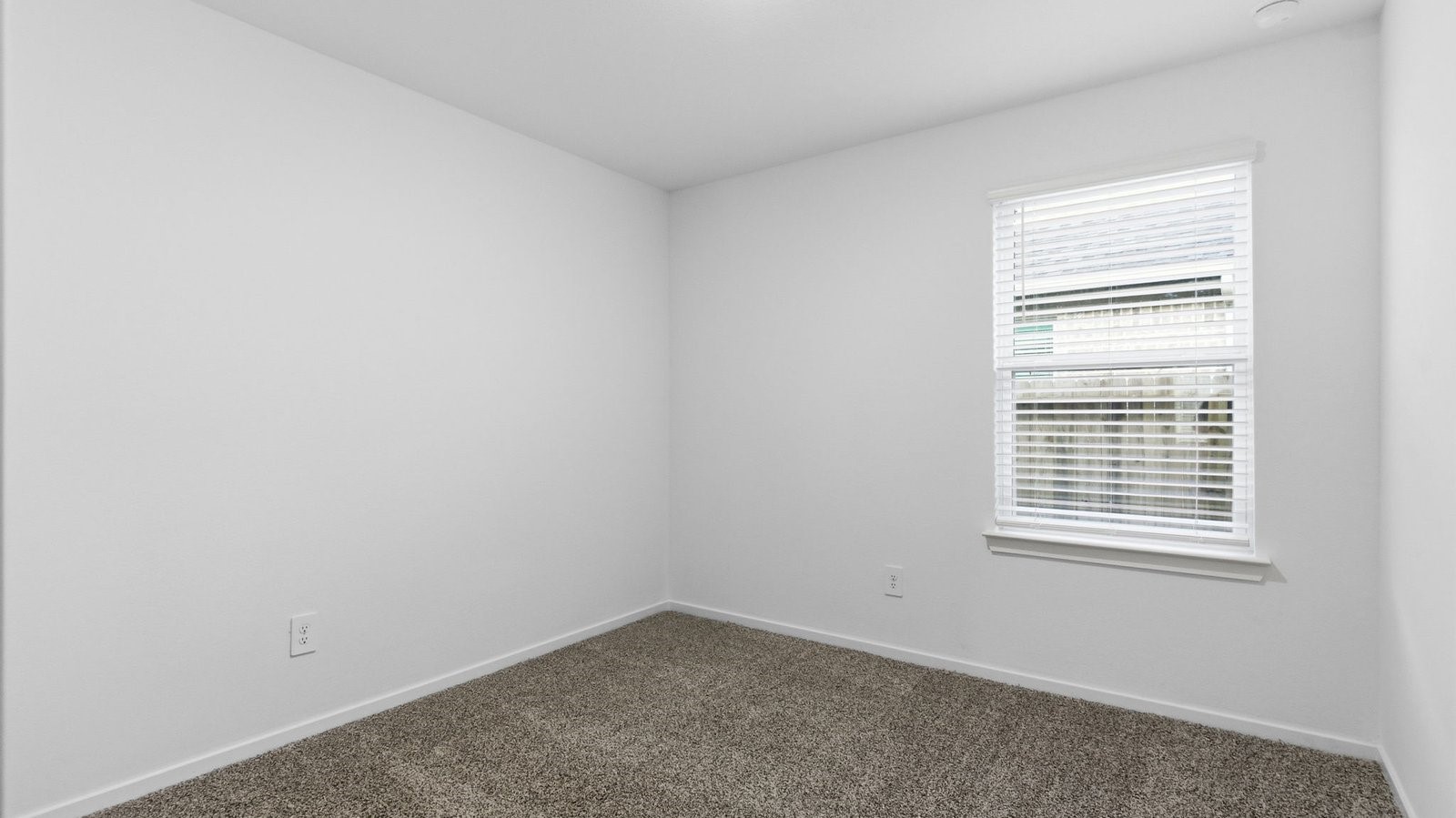 11103 August Sunset Drive Property Photo 4