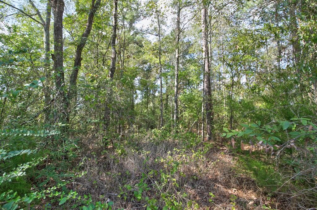 2700 Us Hwy 69s Property Photo 16
