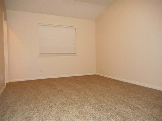 10018 Rain Cloud Drive Property Photo 15