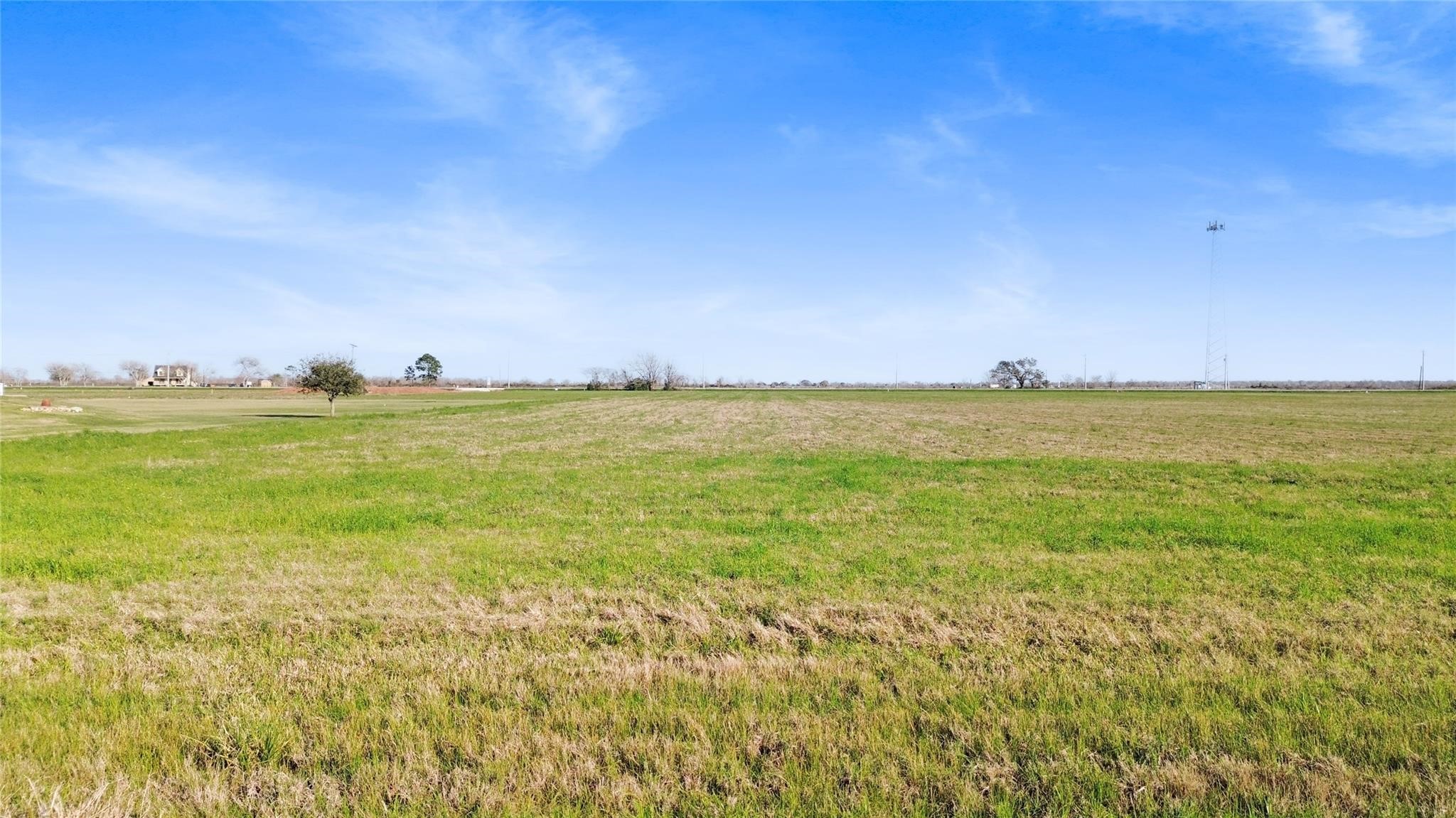 365 Brahman Trail Property Photo 4