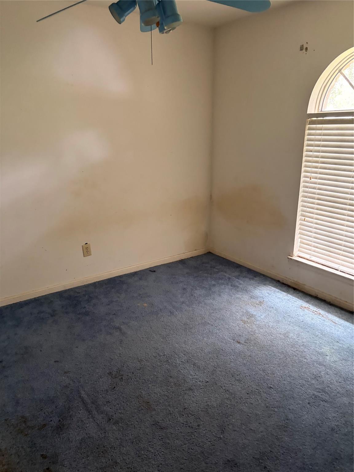 2415 Tinechester Drive Property Photo 8