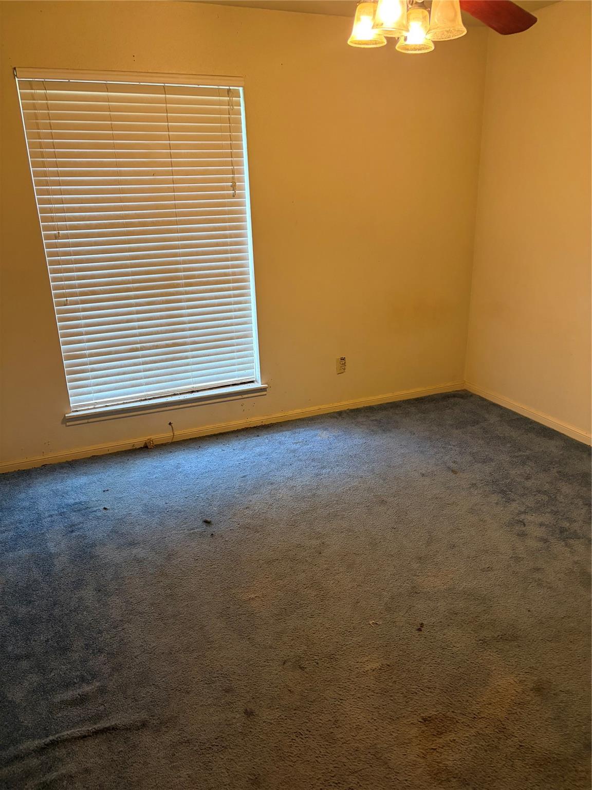 2415 Tinechester Drive Property Photo 9