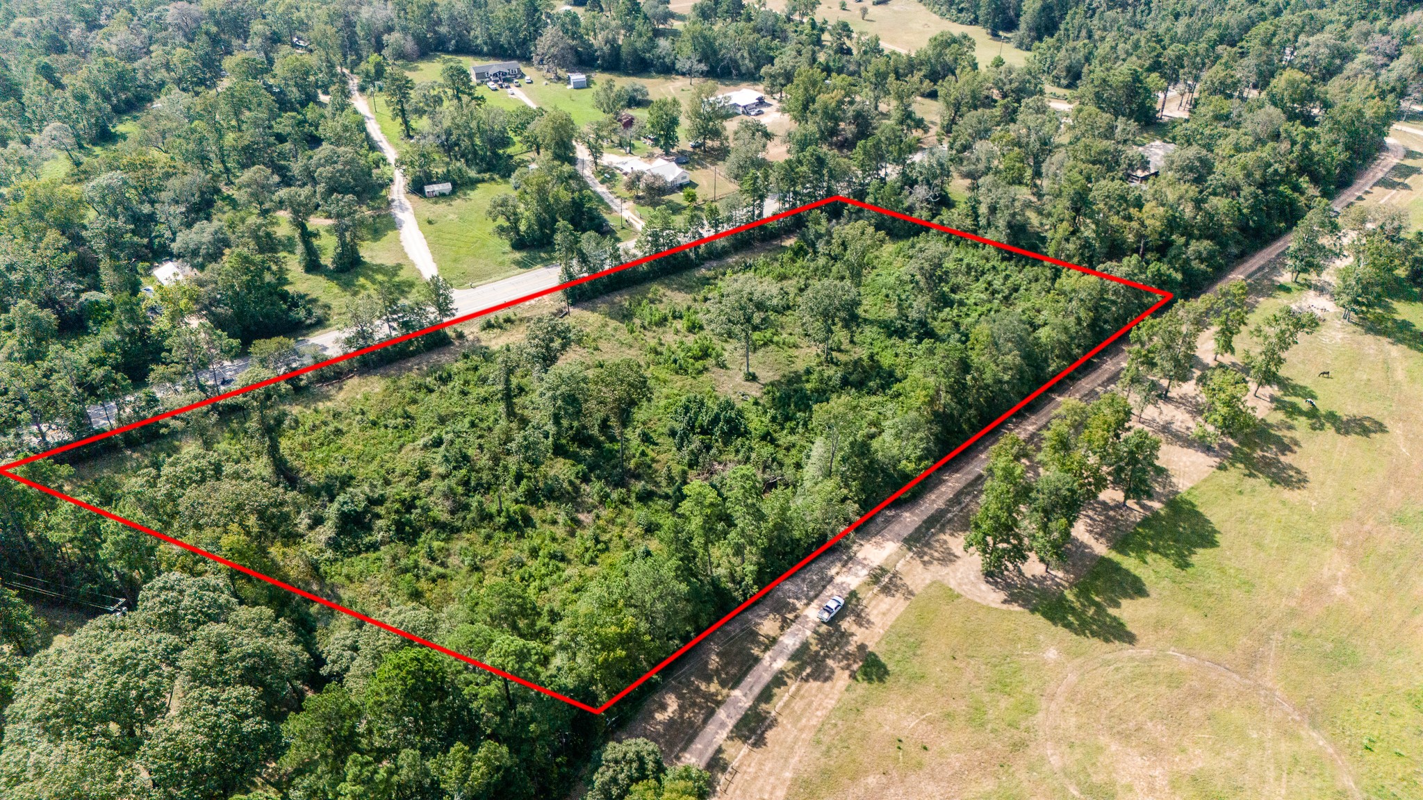 17171 E Fm 1097 Road Property Photo 2