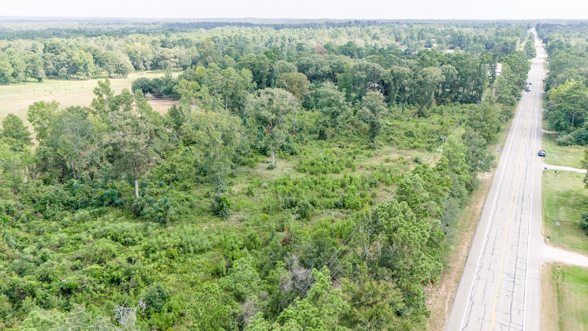 17171 E Fm 1097 Road Property Photo 6
