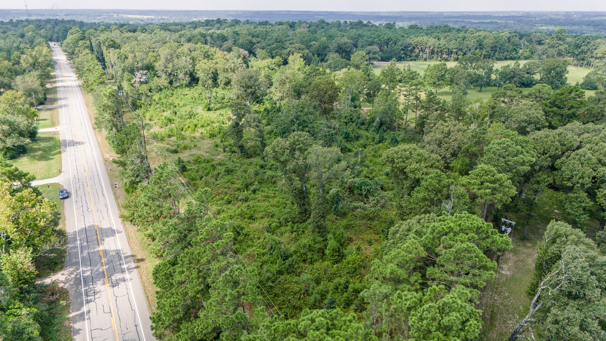 17171 E Fm 1097 Road Property Photo 7