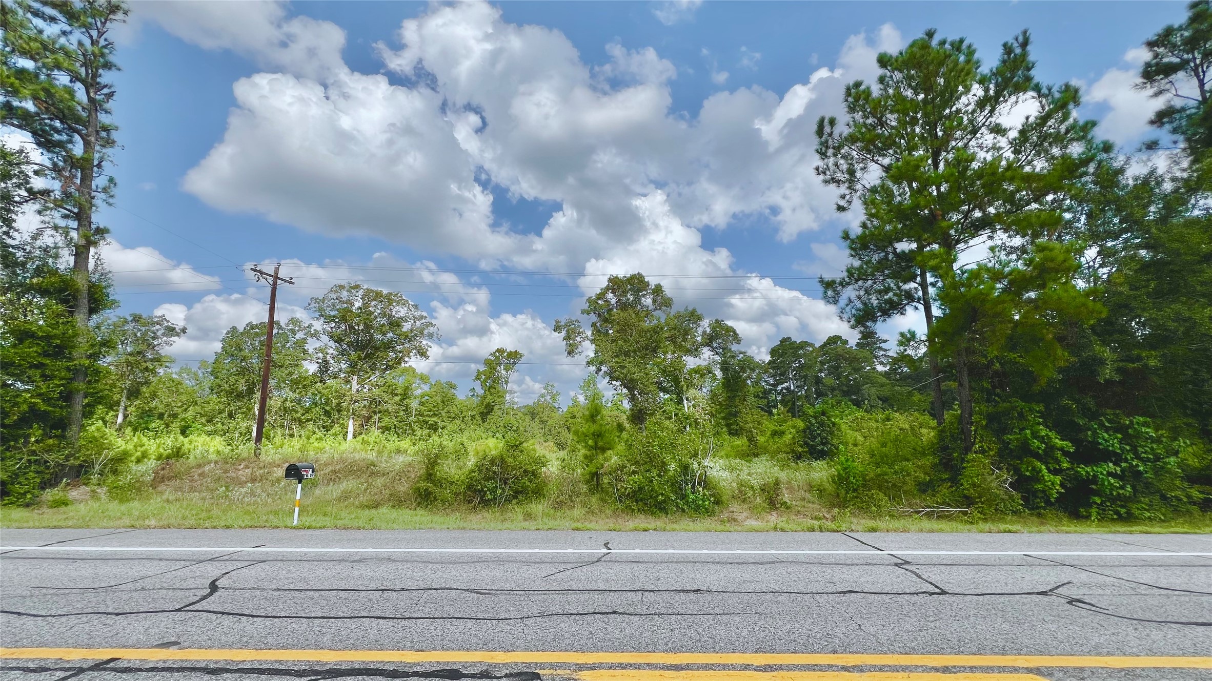 17171 E Fm 1097 Road Property Photo 8