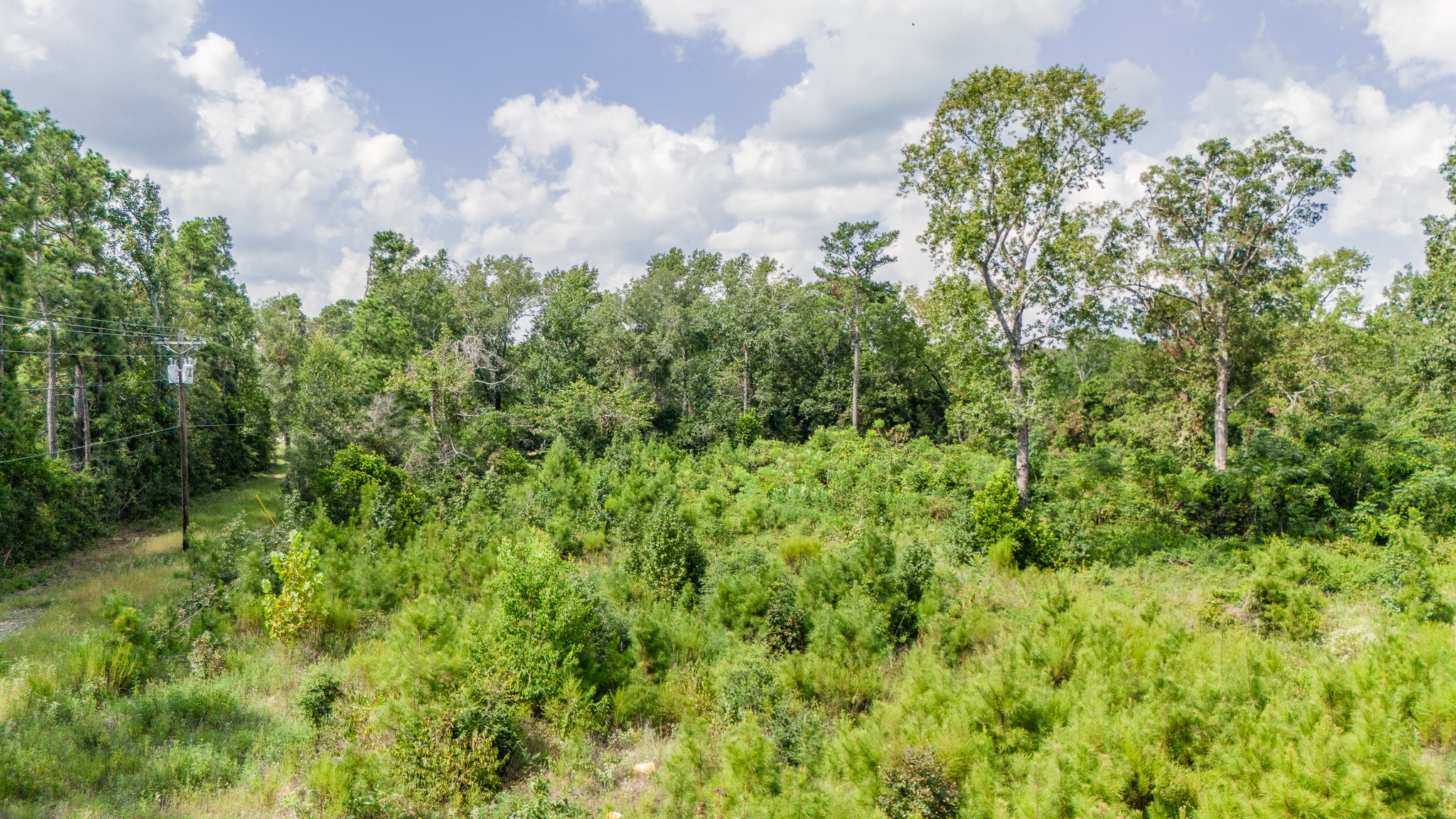 17171 E Fm 1097 Road Property Photo 12