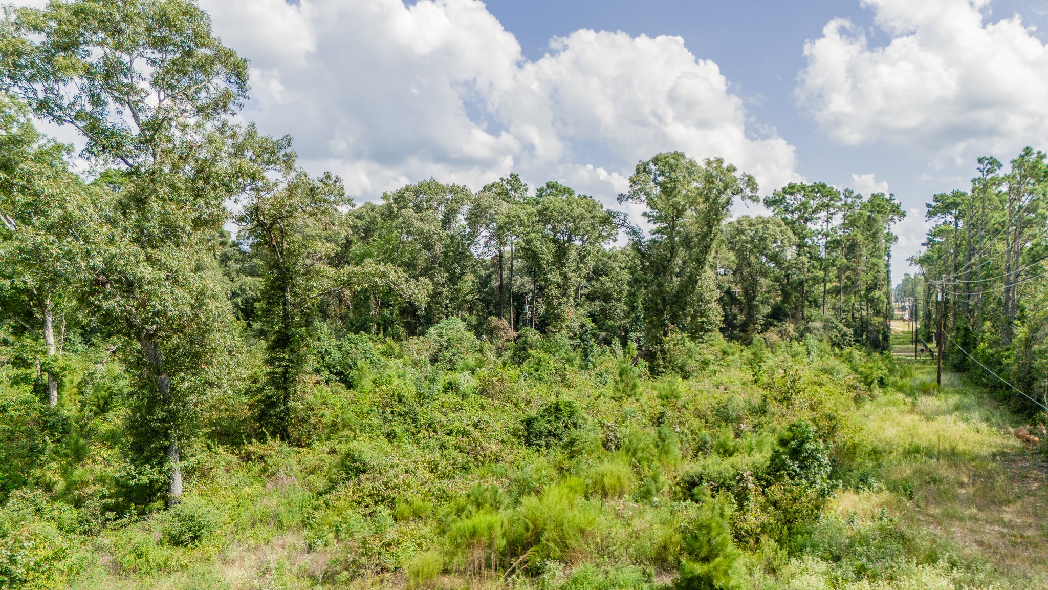 17171 E Fm 1097 Road Property Photo 14