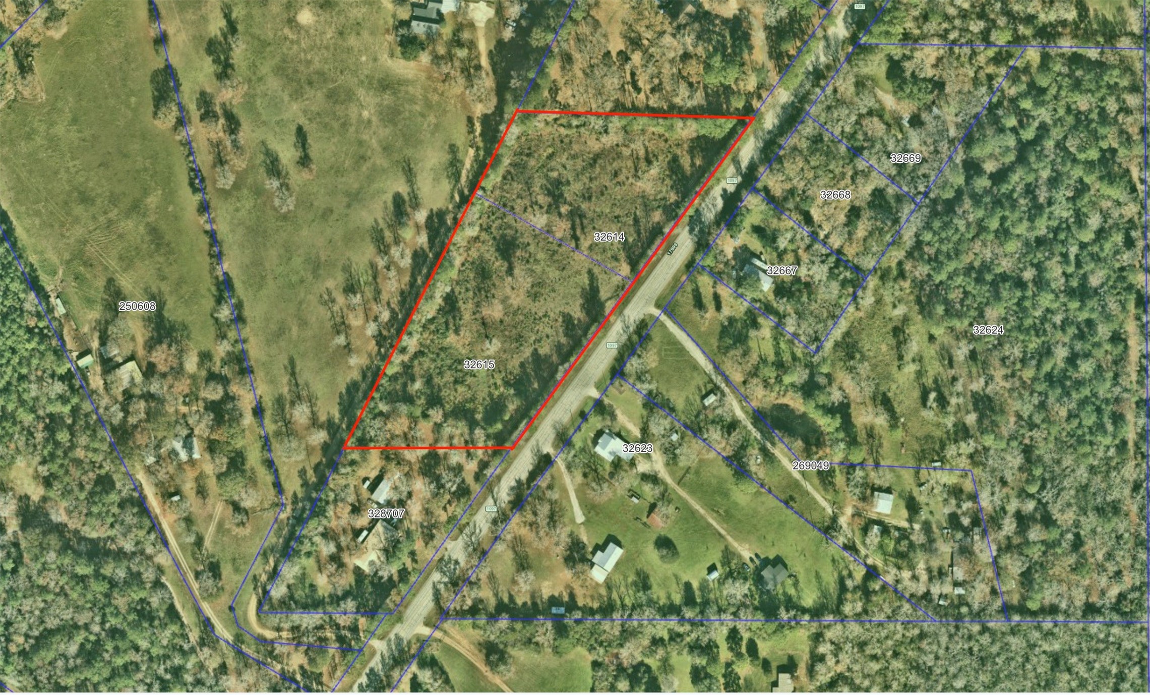 17171 E Fm 1097 Road Property Photo 16