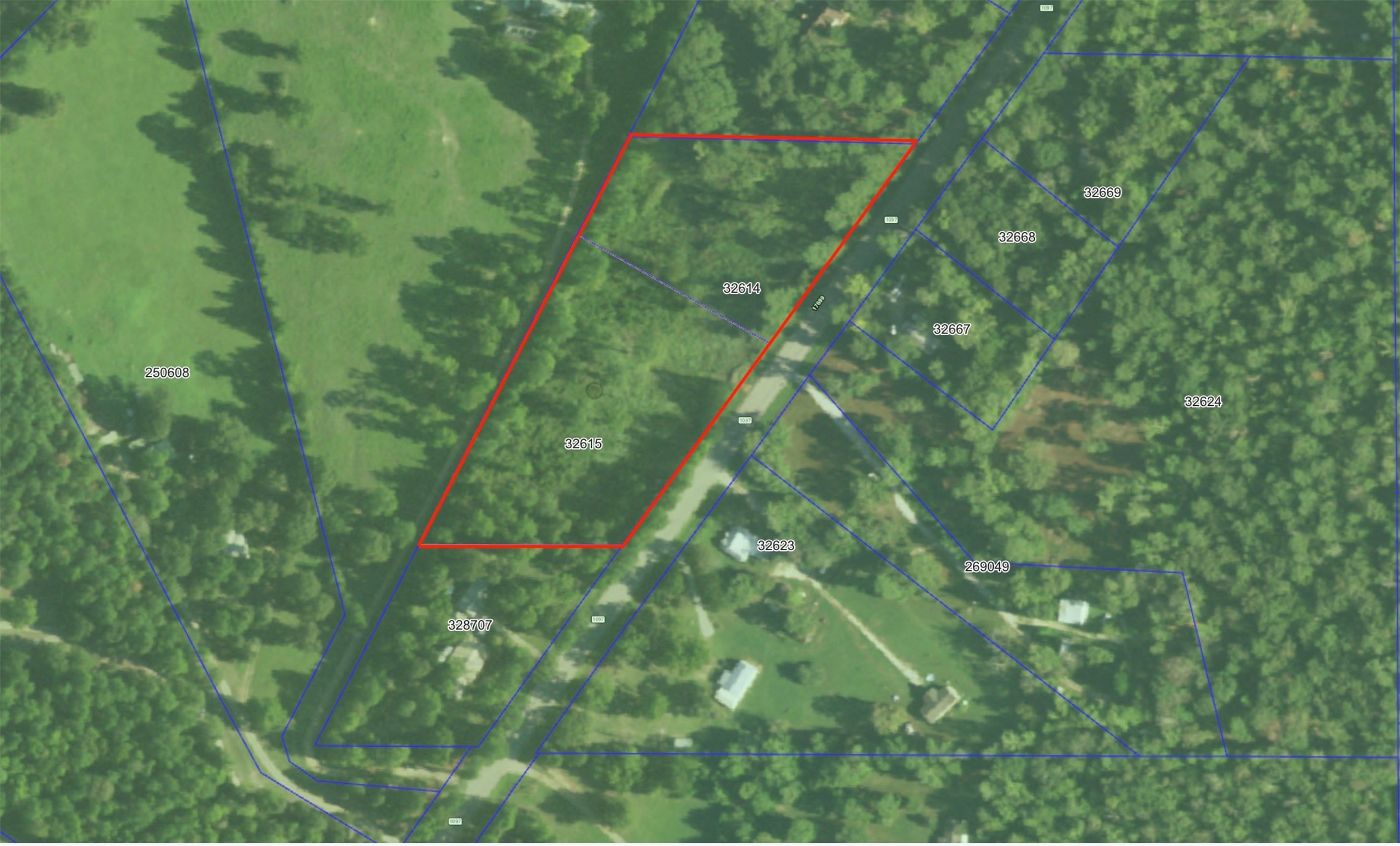 17171 E Fm 1097 Road Property Photo 17