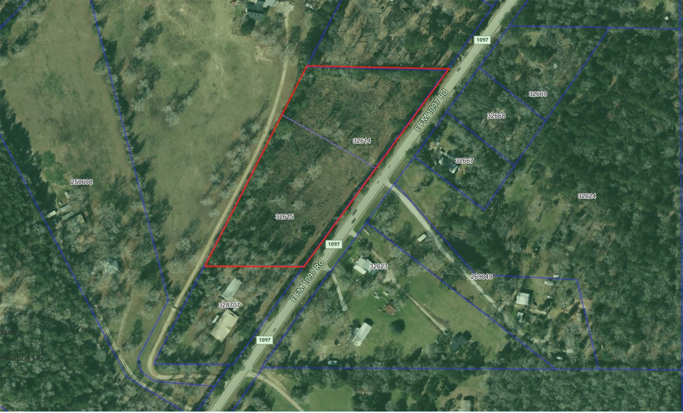 17171 E Fm 1097 Road Property Photo 19