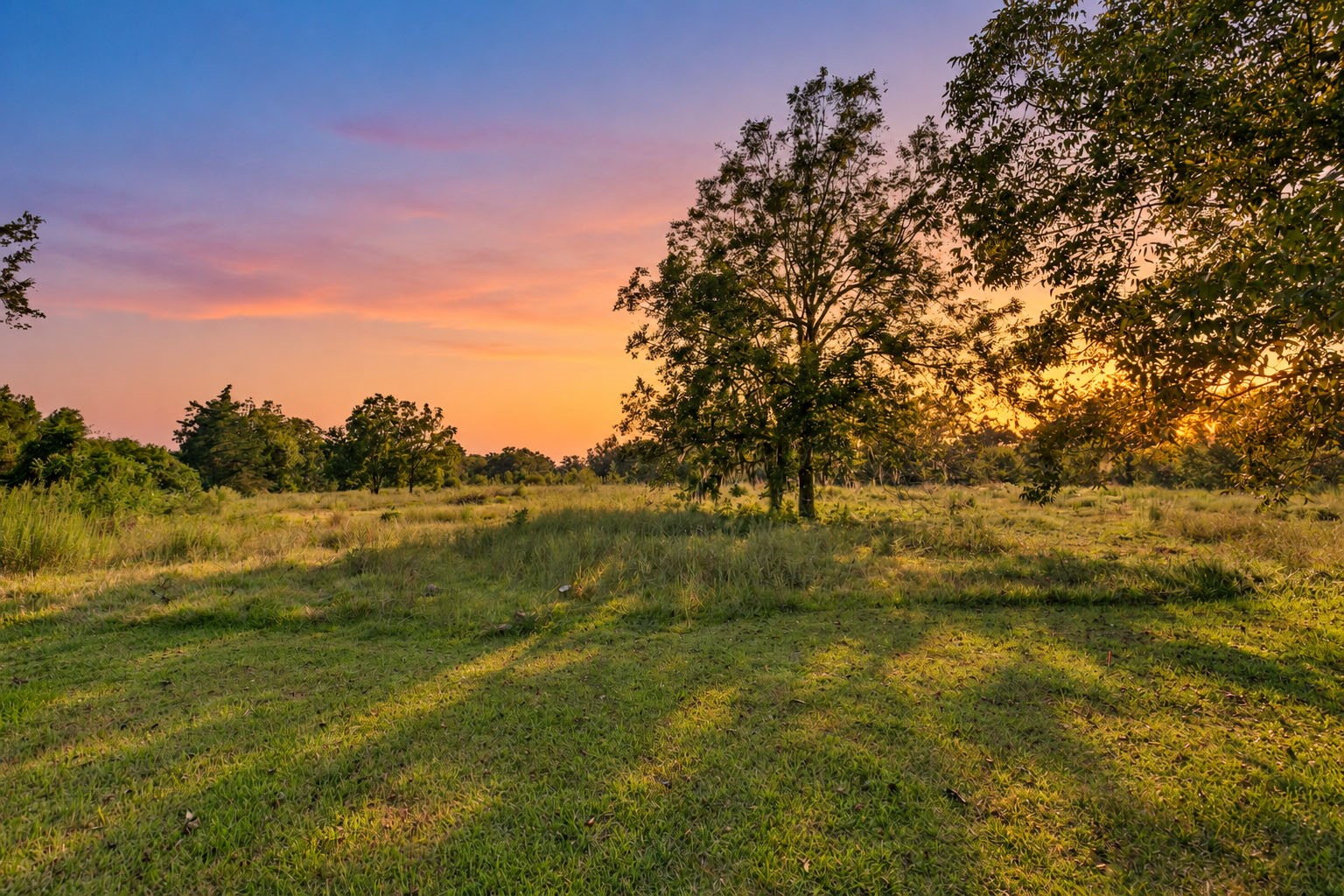 3014 Fm 524 Road Property Photo 1