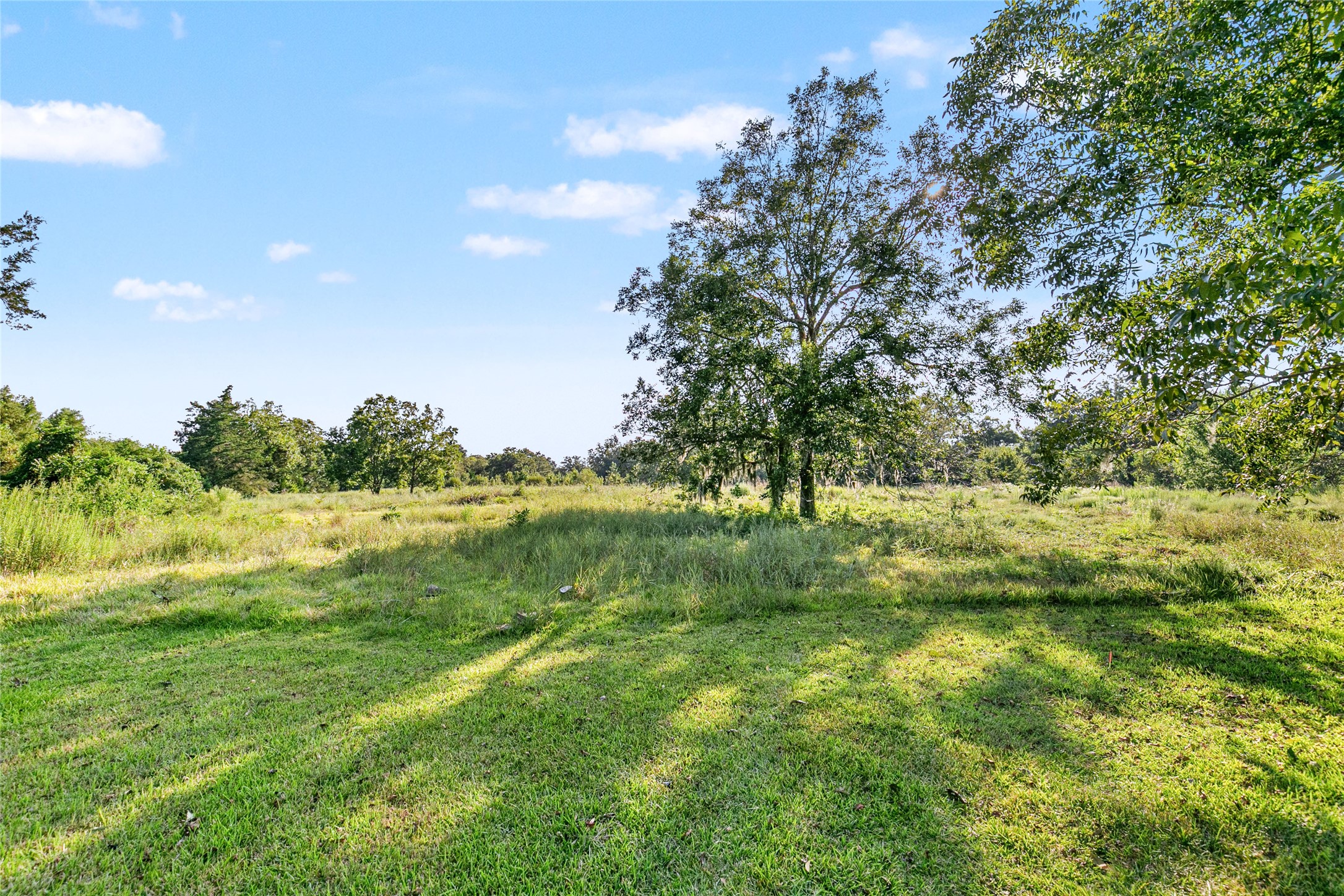 3014 Fm 524 Road Property Photo 7