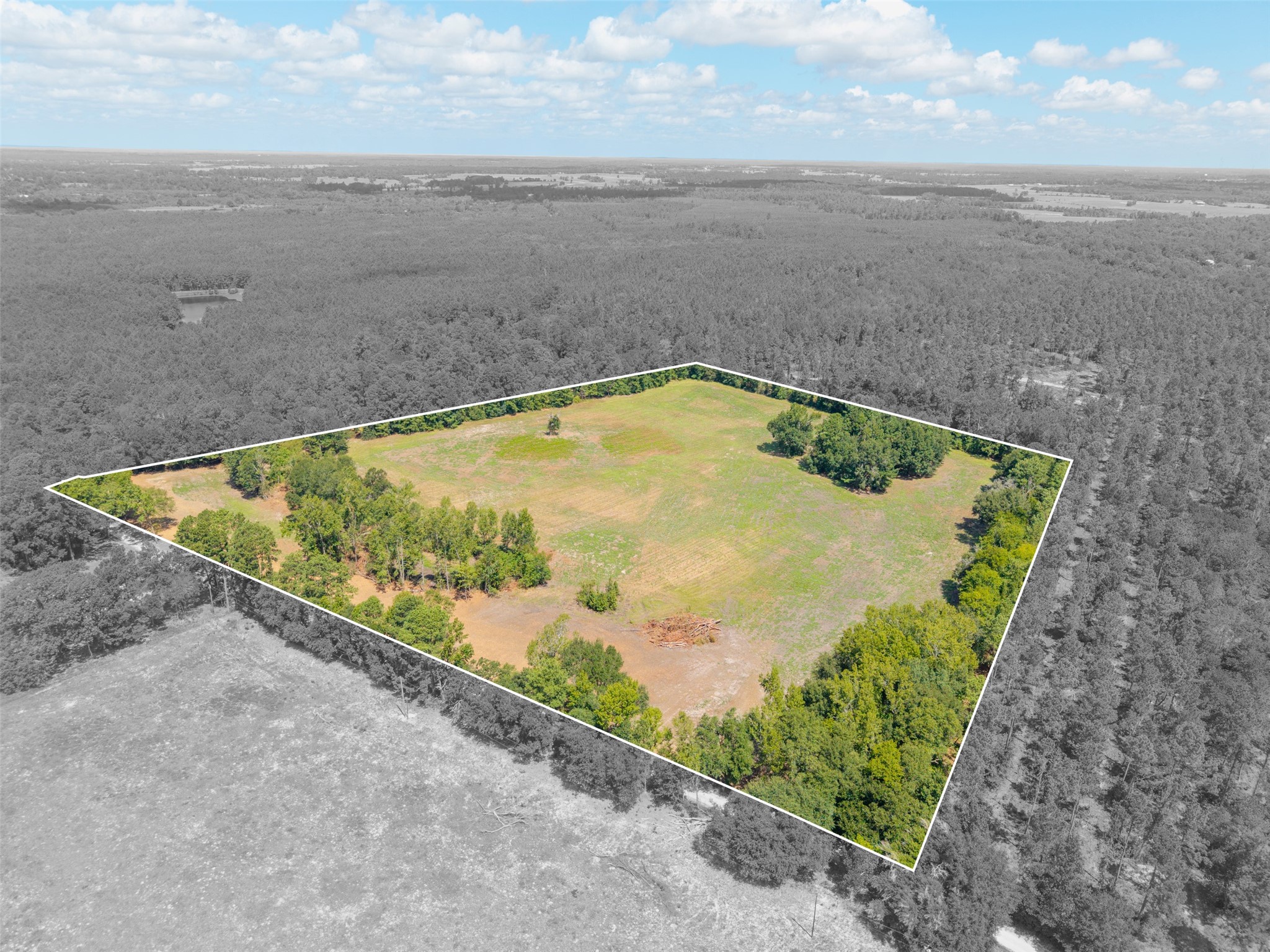 Tbd Cr 3365 Property Photo 1