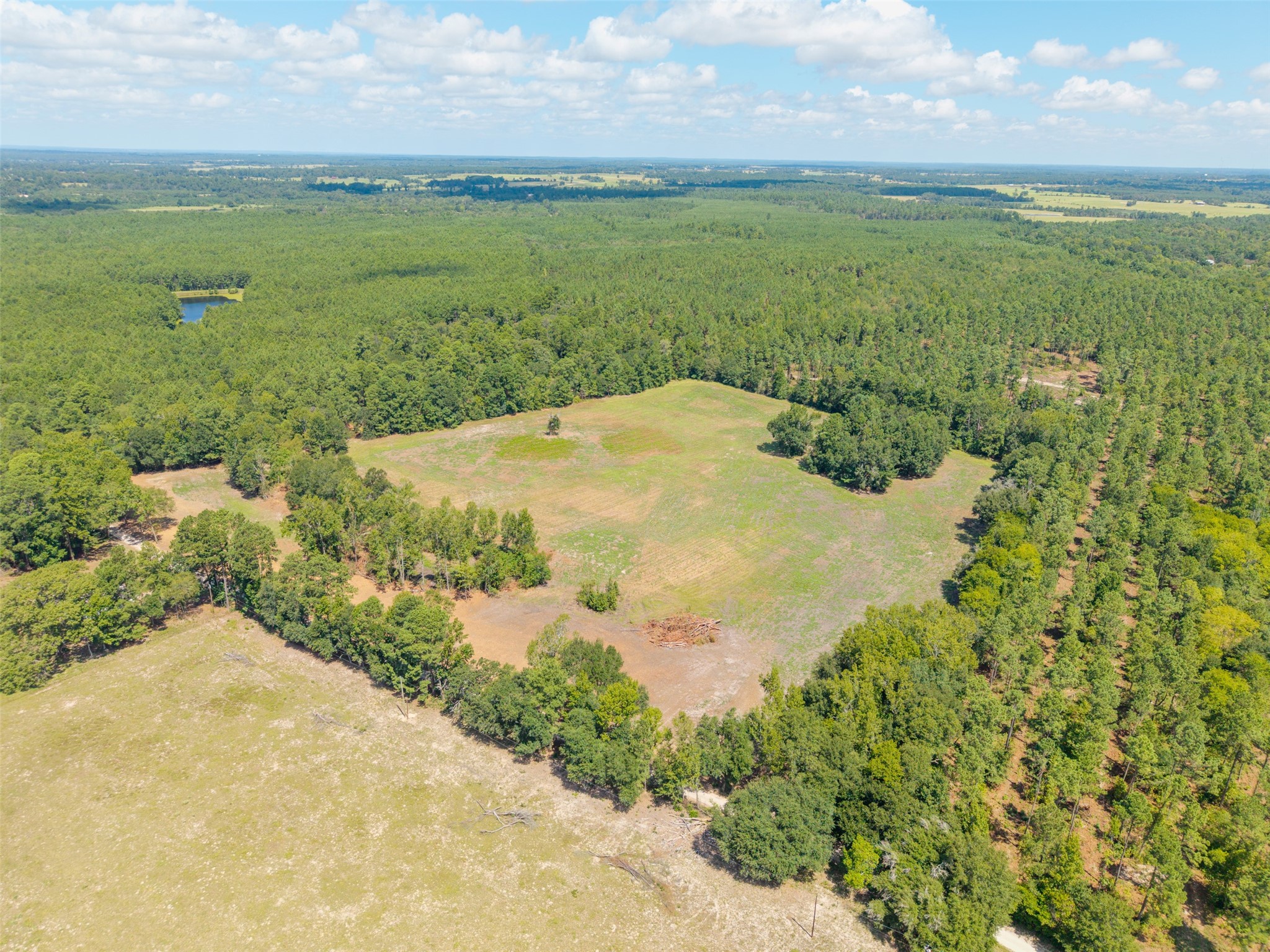 Tbd Cr 3365 Property Photo 3