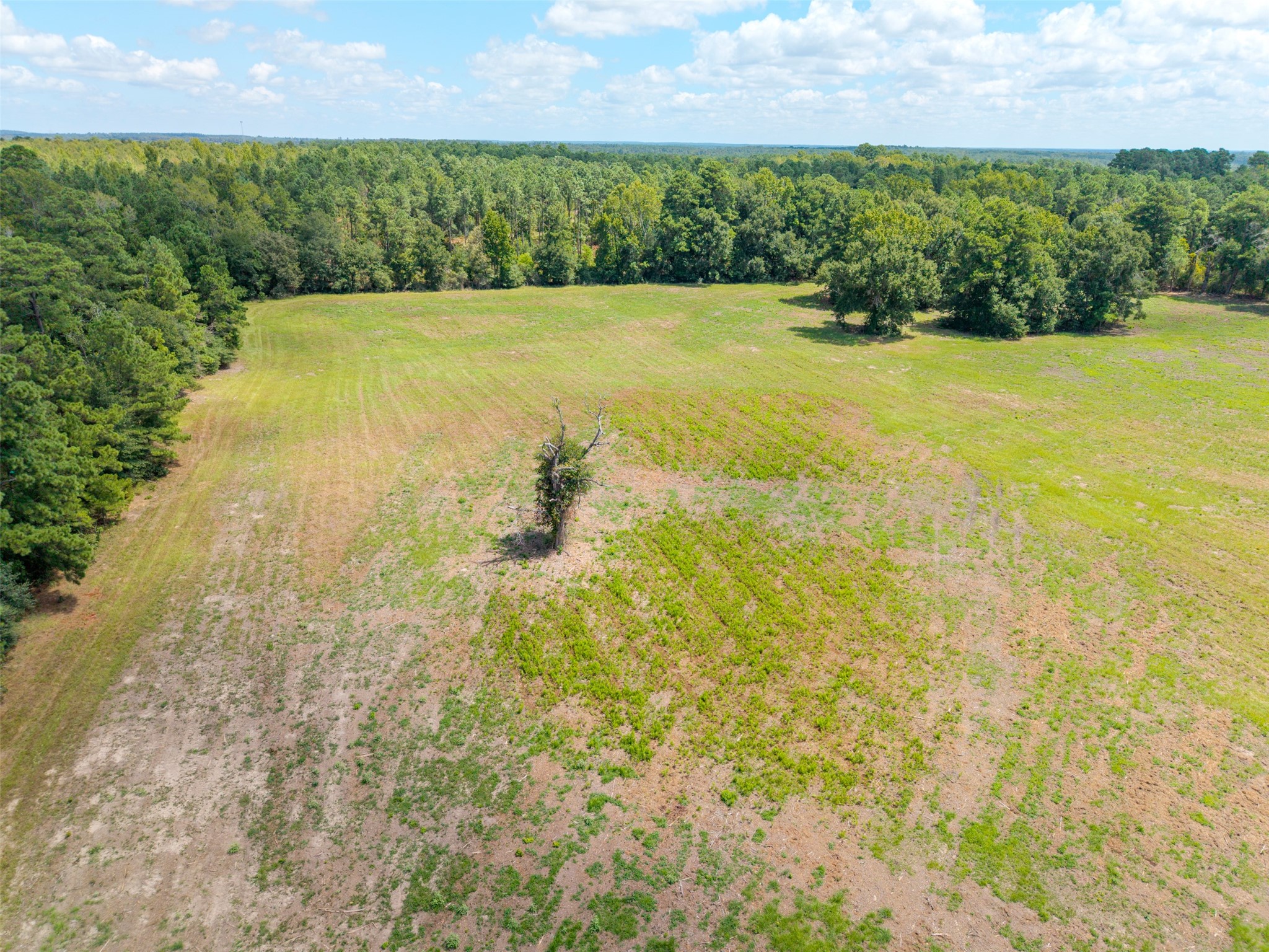 Tbd Cr 3365 Property Photo 8