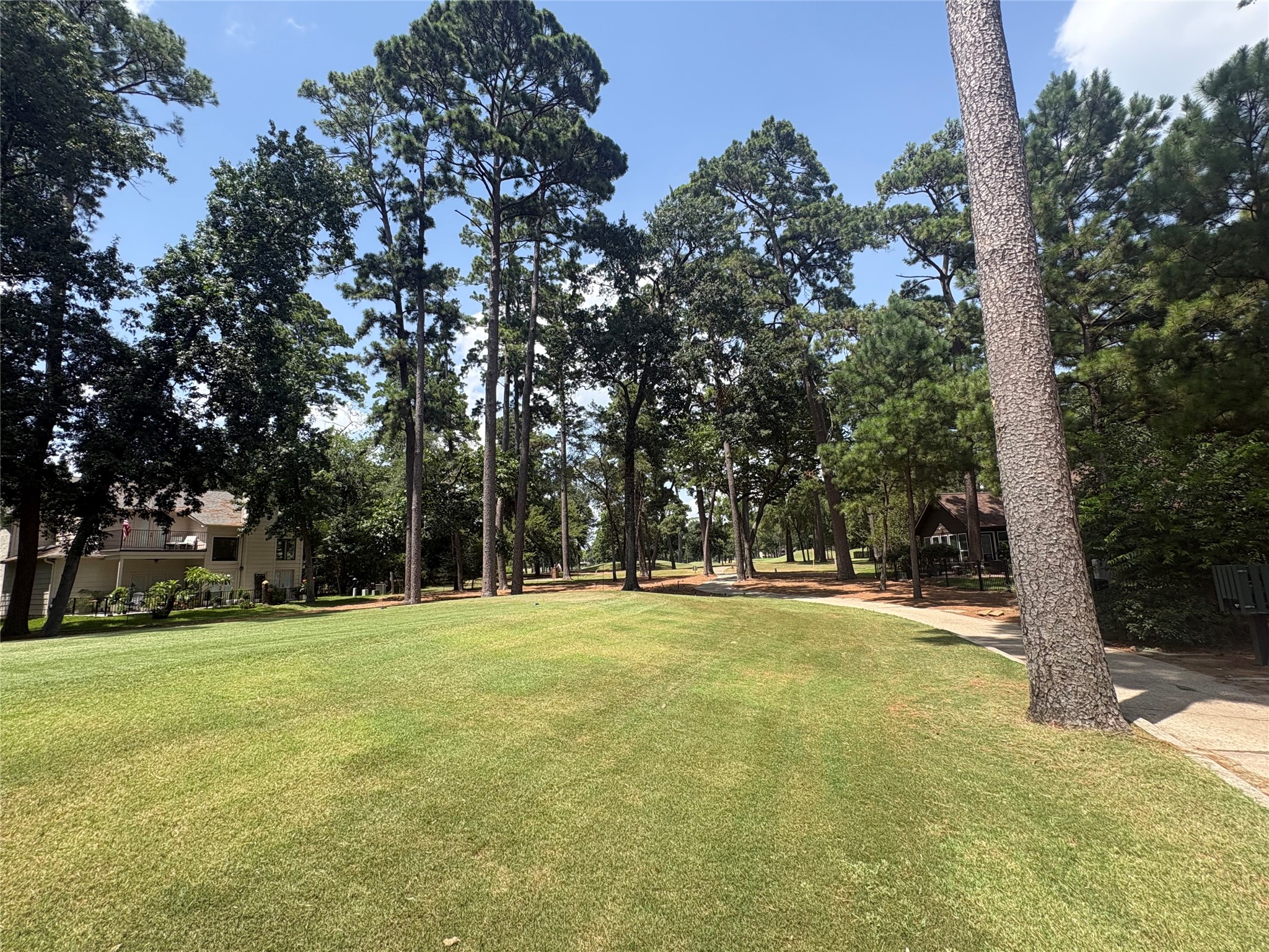3223 Lazy Lake Lane Property Photo 18