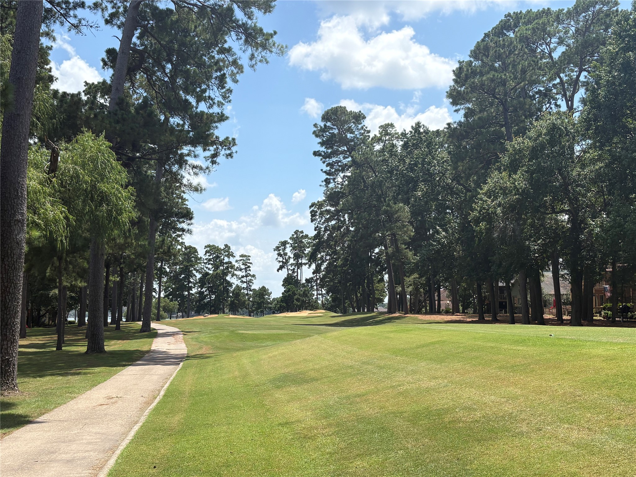 3223 Lazy Lake Lane Property Photo 19