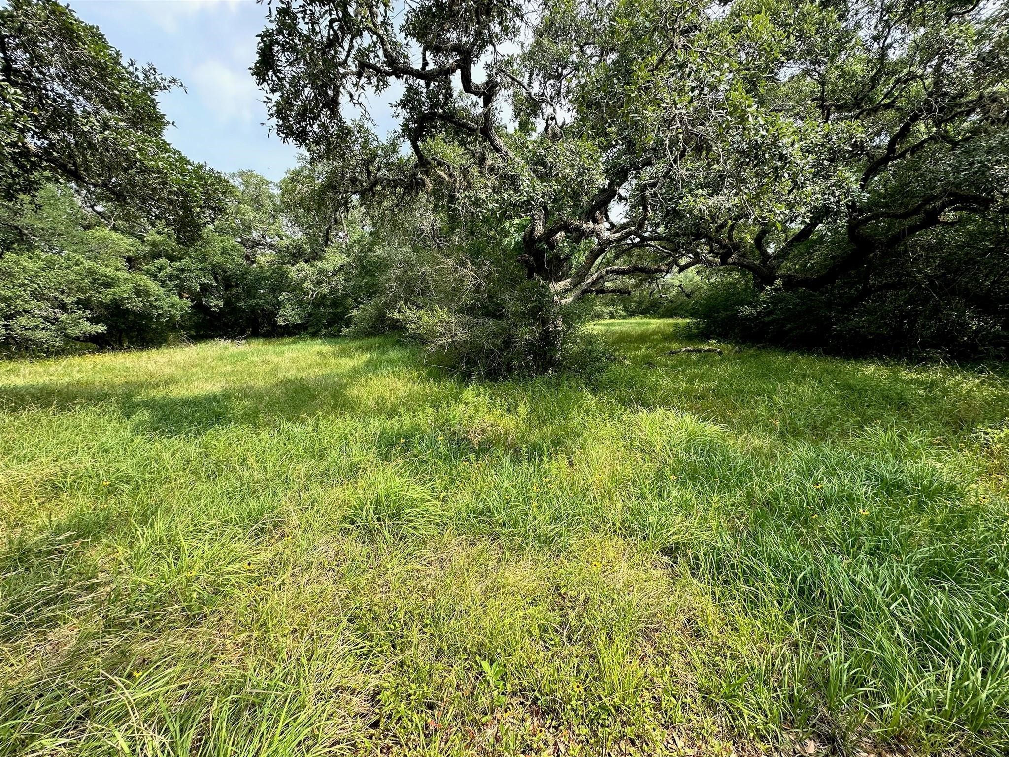 129 Center Tree Drive Property Photo 1