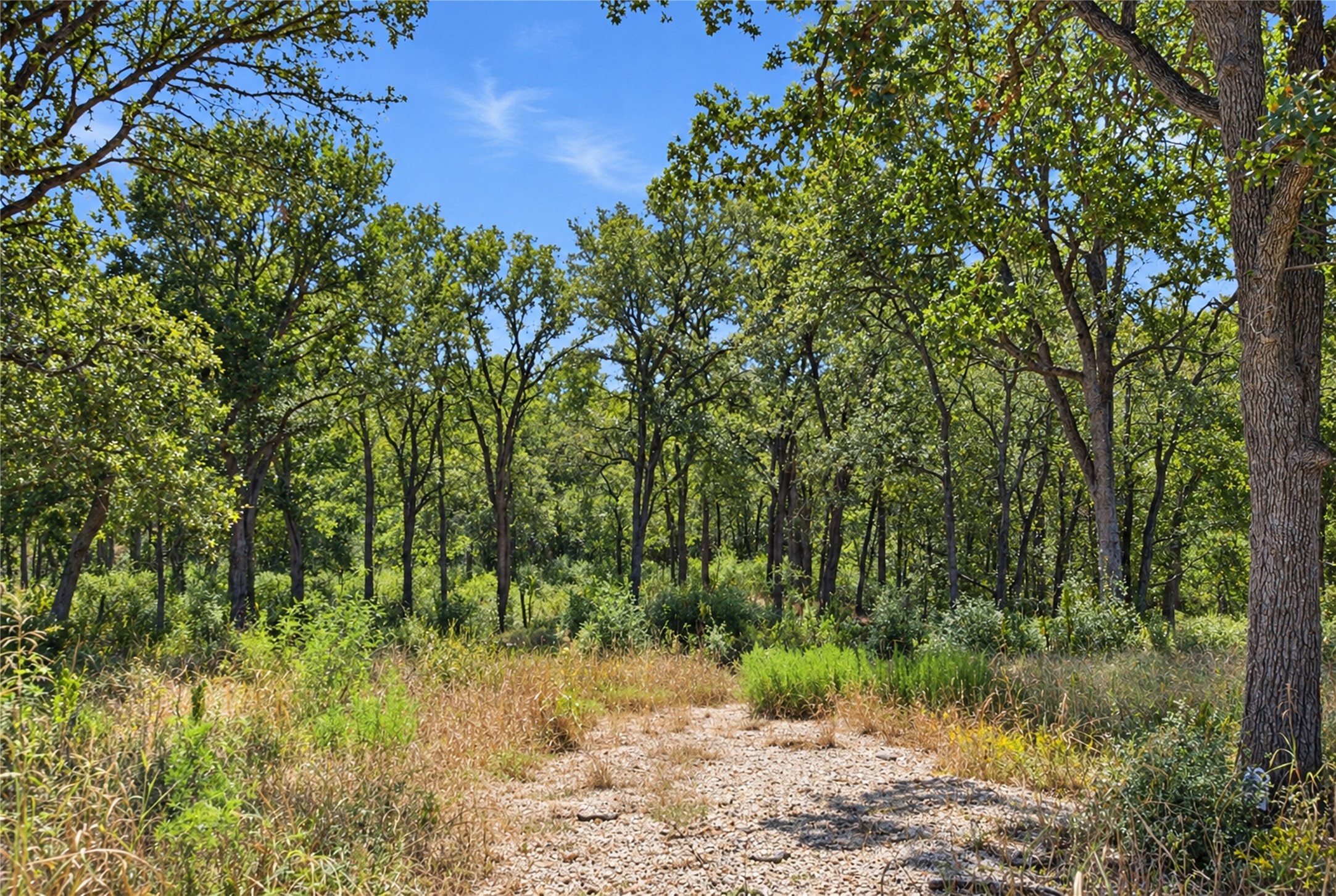 115 Deep Woods Court Property Photo 1