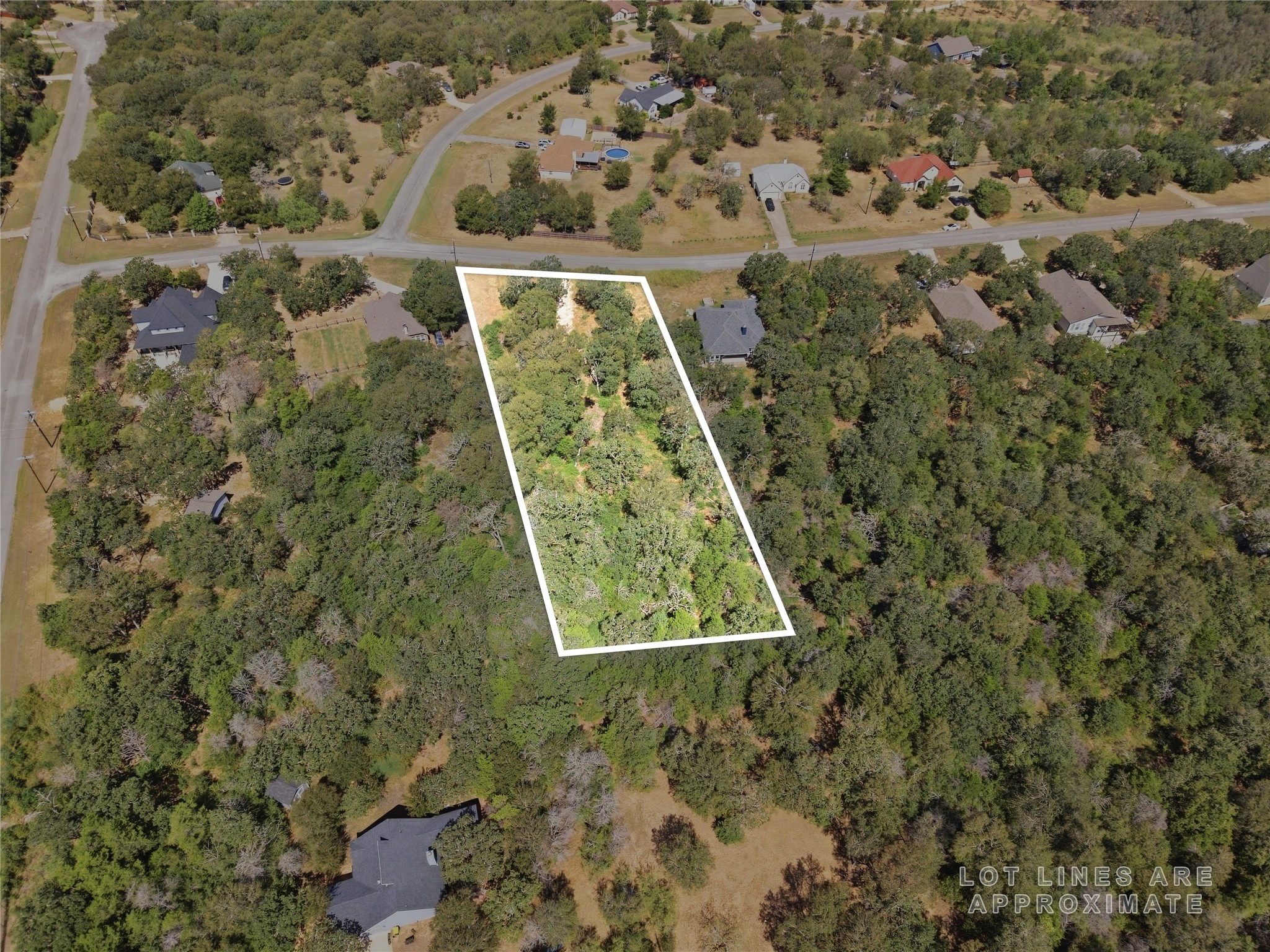 115 Deep Woods Court Property Photo 2