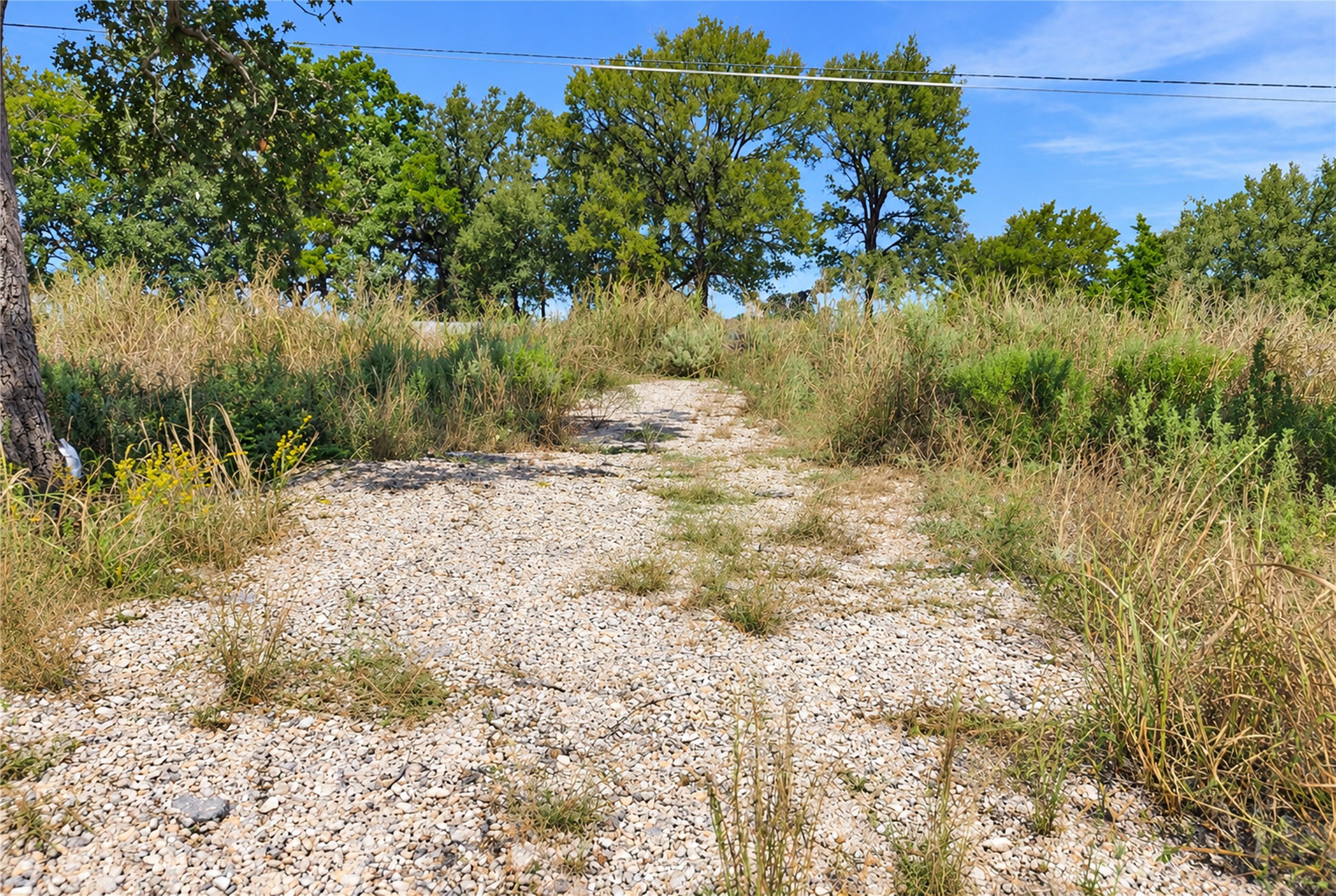 115 Deep Woods Court Property Photo 7