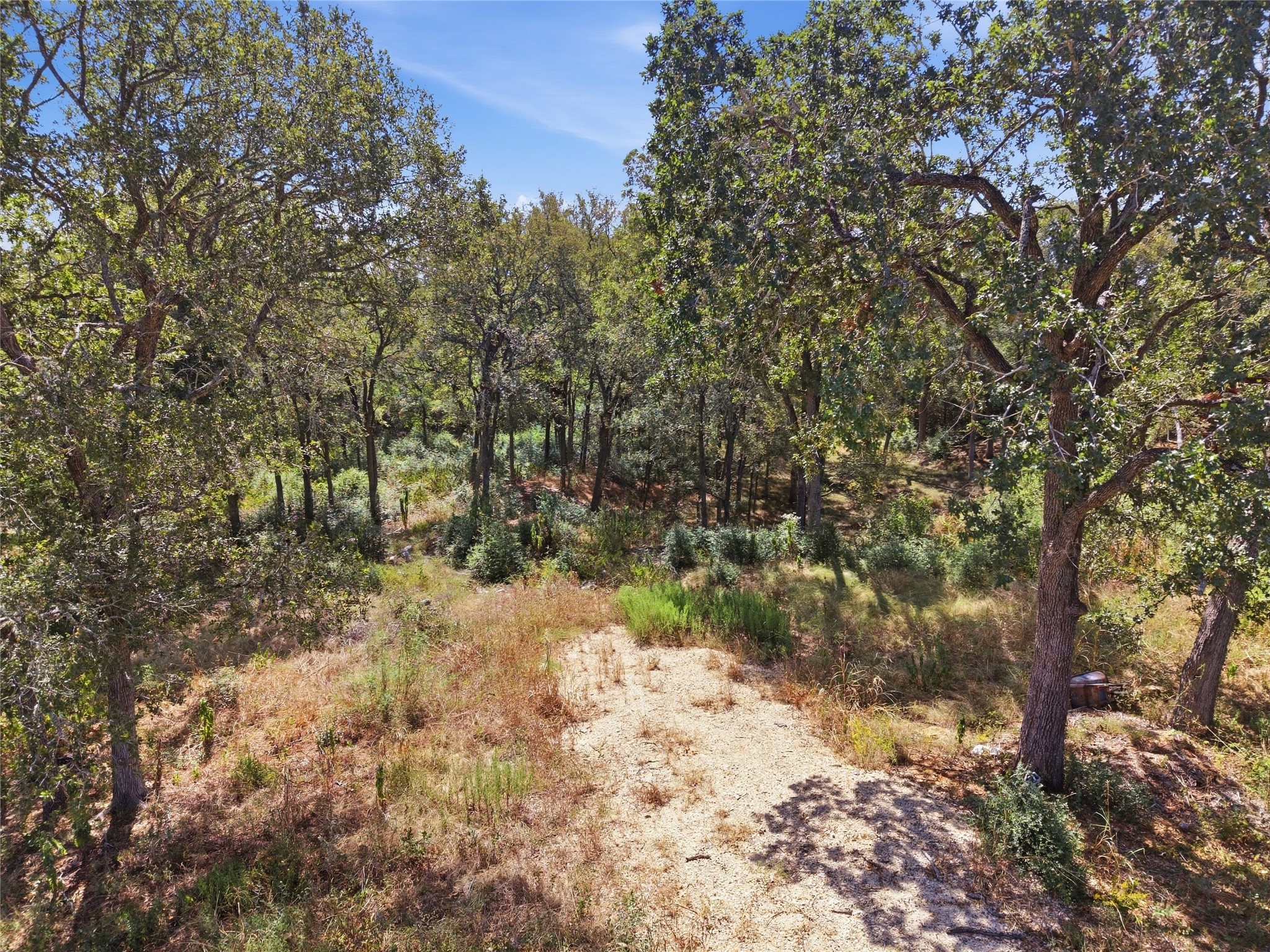 115 Deep Woods Court Property Photo 10