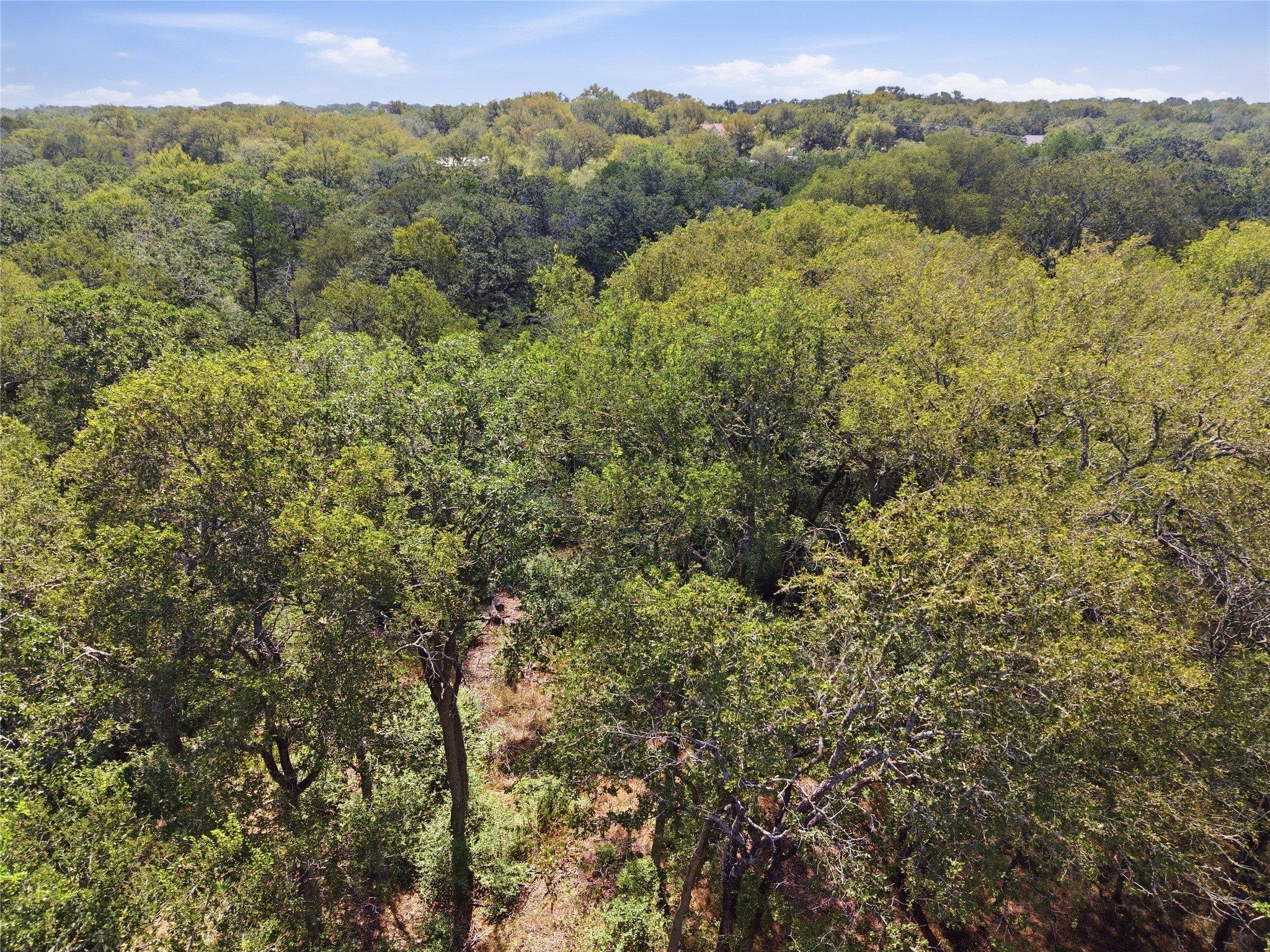 115 Deep Woods Court Property Photo 16