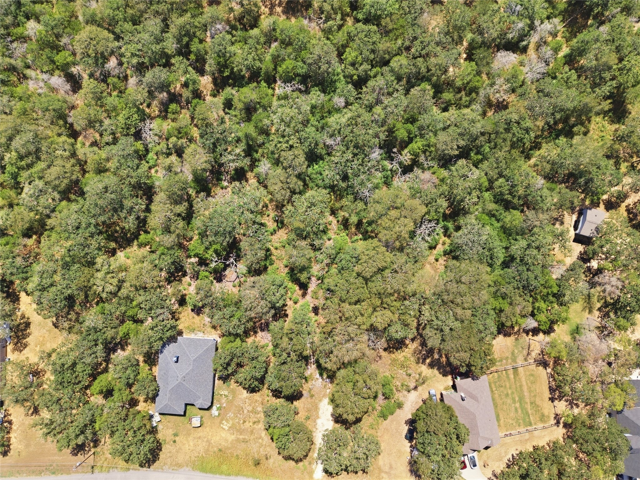 115 Deep Woods Court Property Photo 22