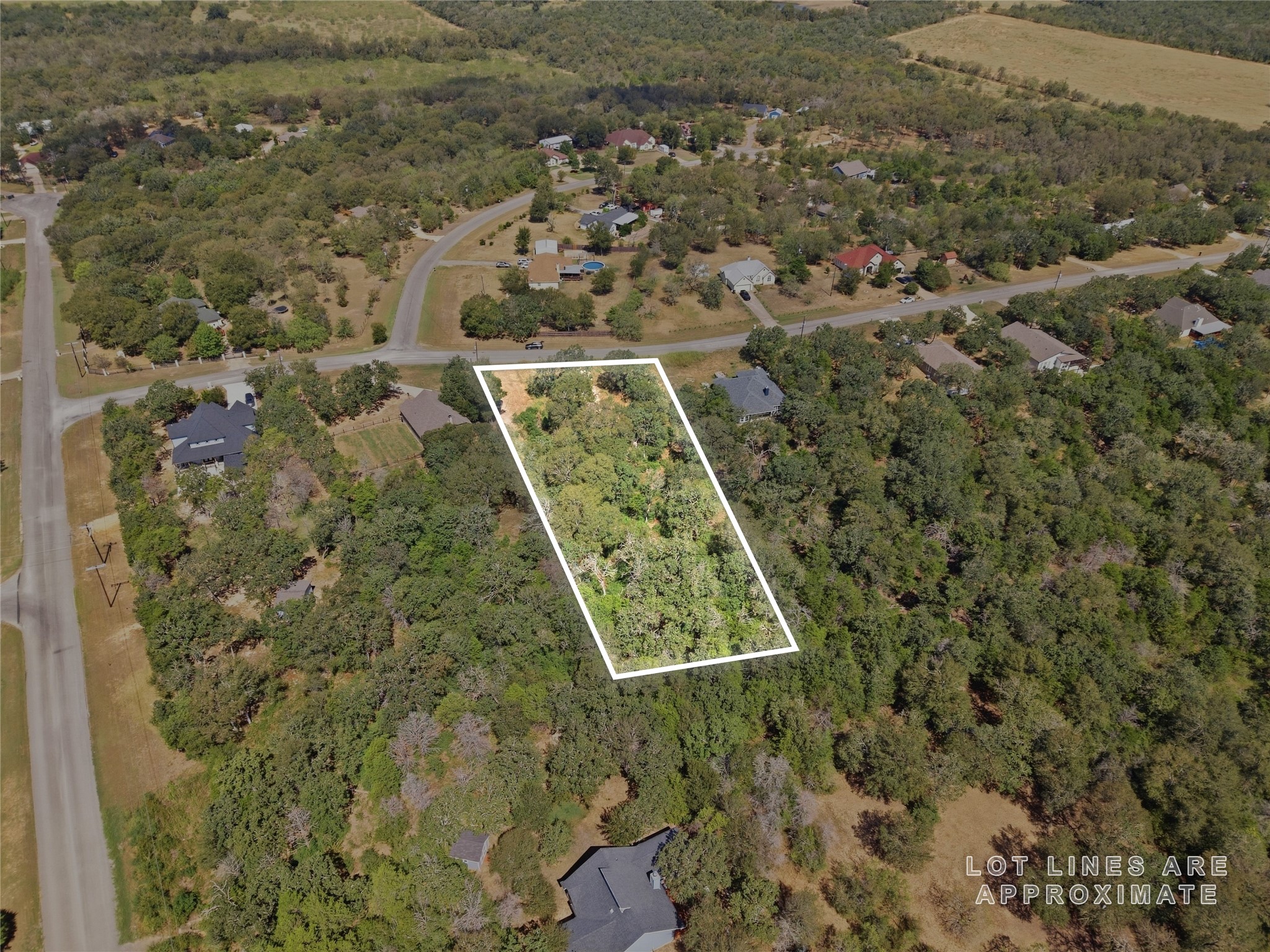 115 Deep Woods Court Property Photo 26