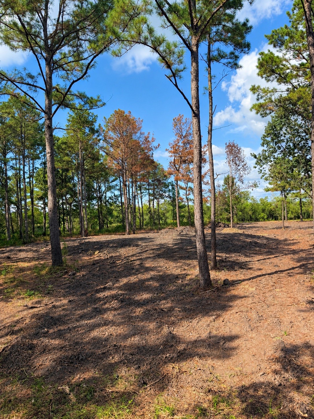 348 Private Road 77004 Road Property Photo 1
