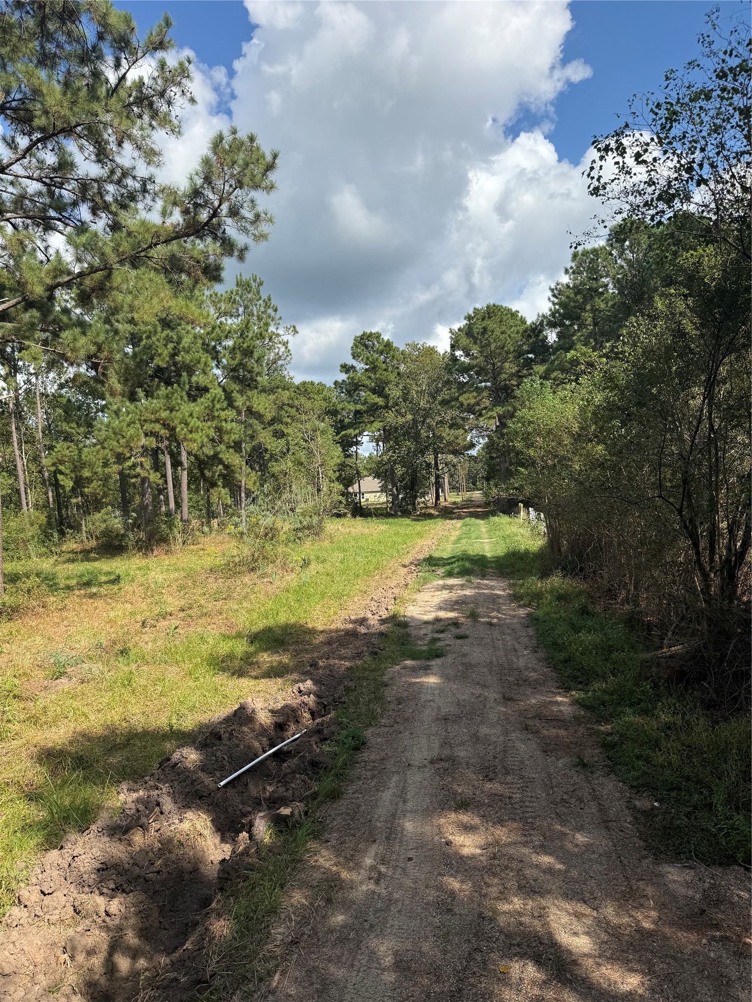 348 Private Road 77004 Road Property Photo 5