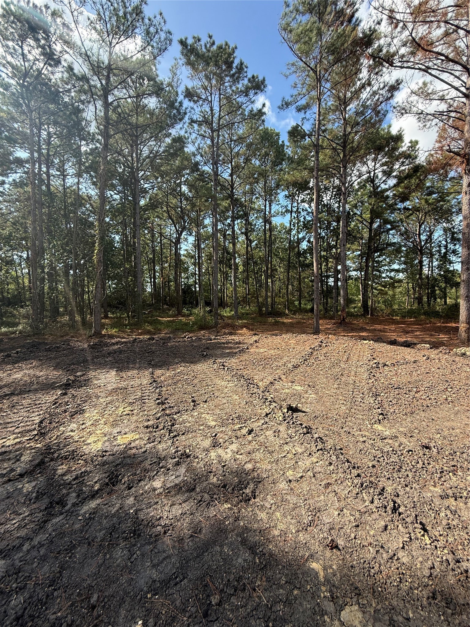 348 Private Road 77004 Road Property Photo 6