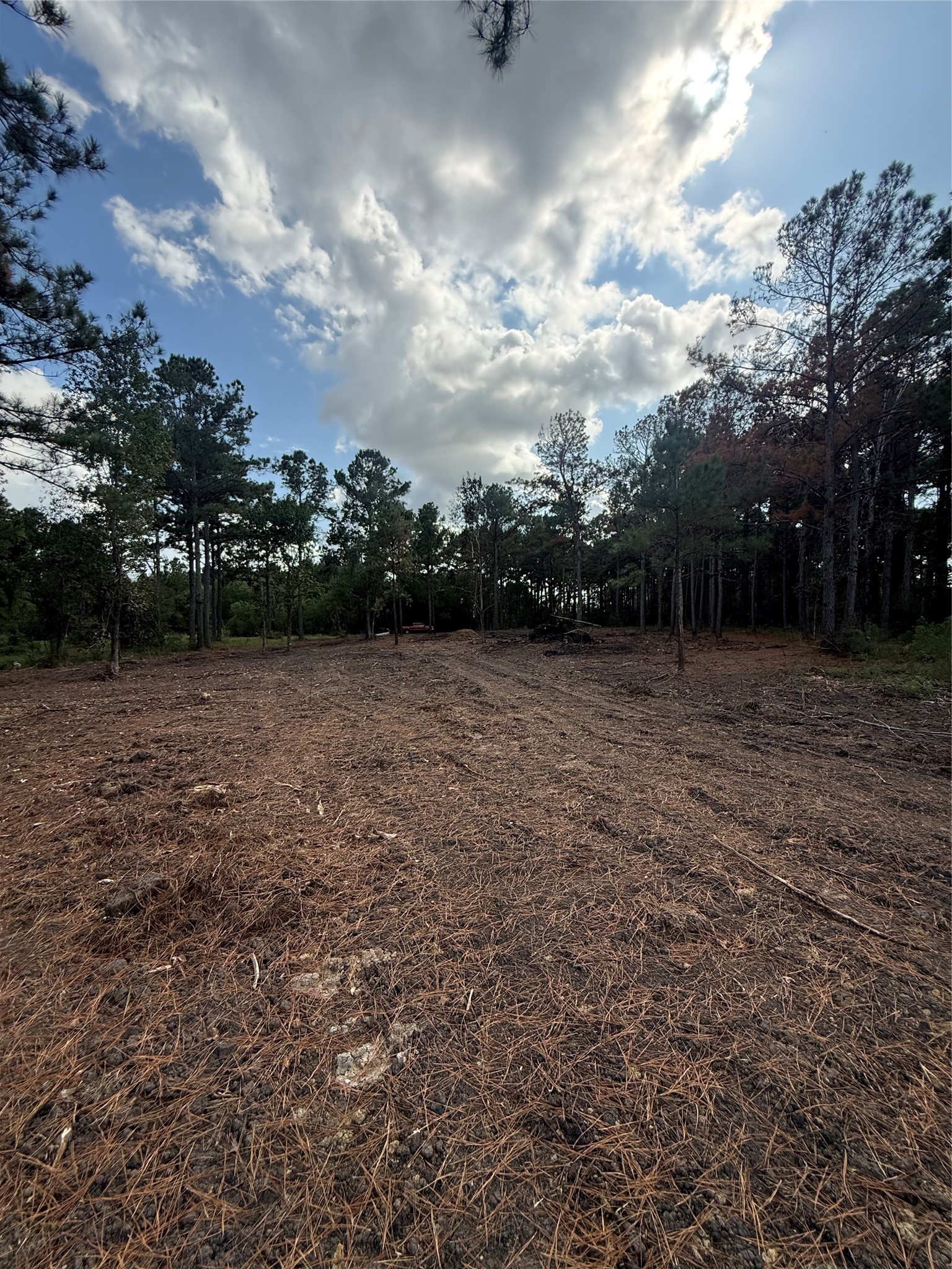 348 Private Road 77004 Road Property Photo 7