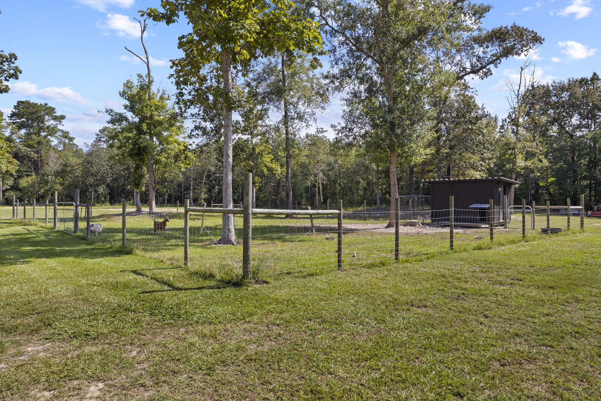 5170 Hob Warren Road Property Photo 26