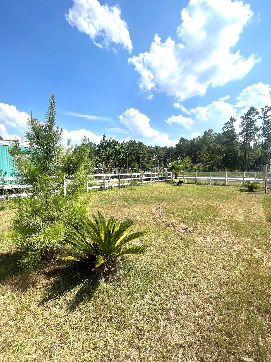 1135 County Road 3479a Property Photo 3