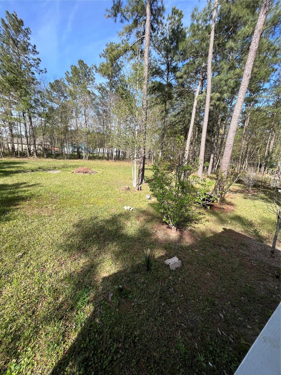 1135 County Road 3479a Property Photo 34