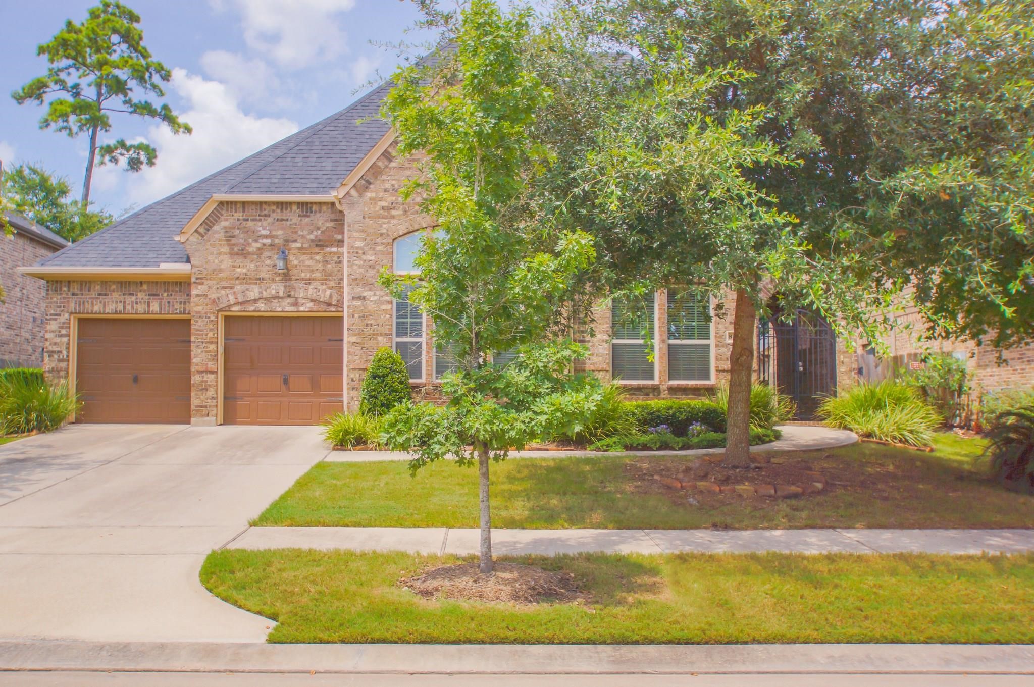 8119 Spreadwing Street