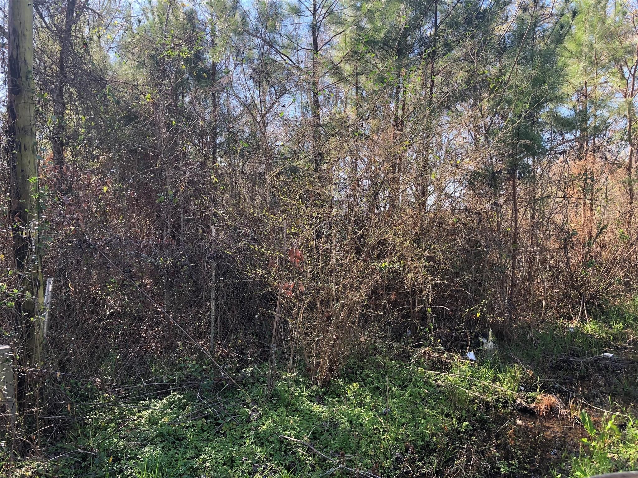 0 Piney Lane Property Photo 1